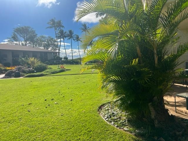 49 W Lipoa St Property Photo 17