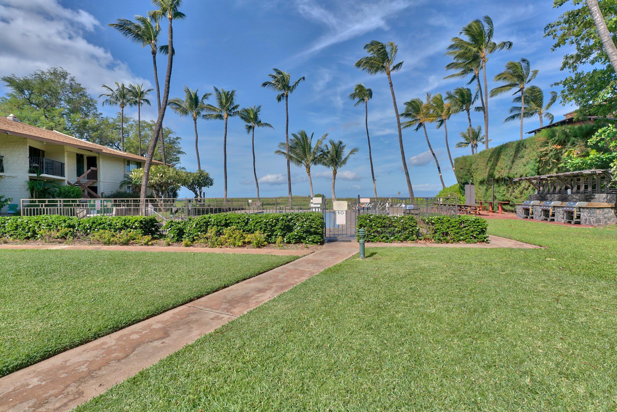 49 W Lipoa St Property Photo 18