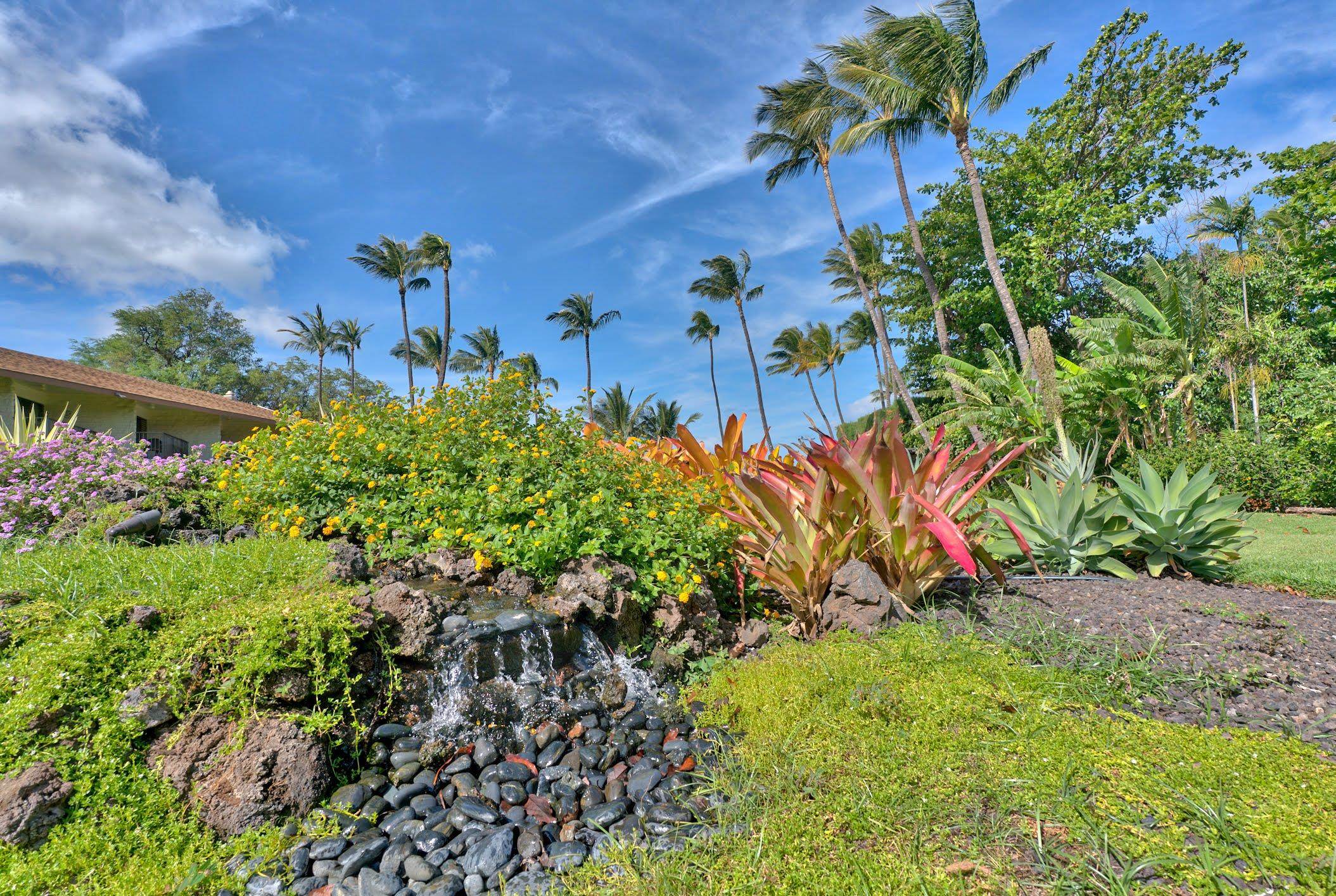 49 W Lipoa St Property Photo 23
