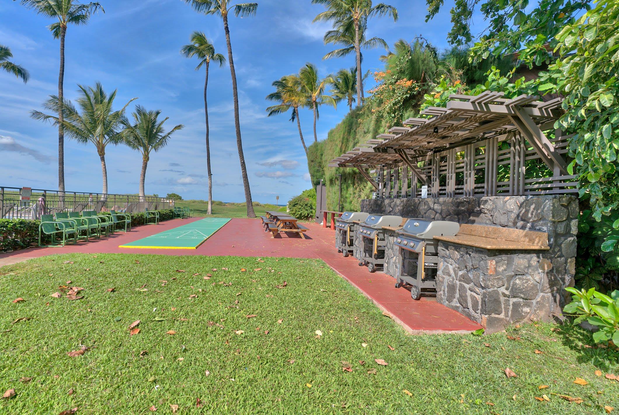 49 W Lipoa St Property Photo 24