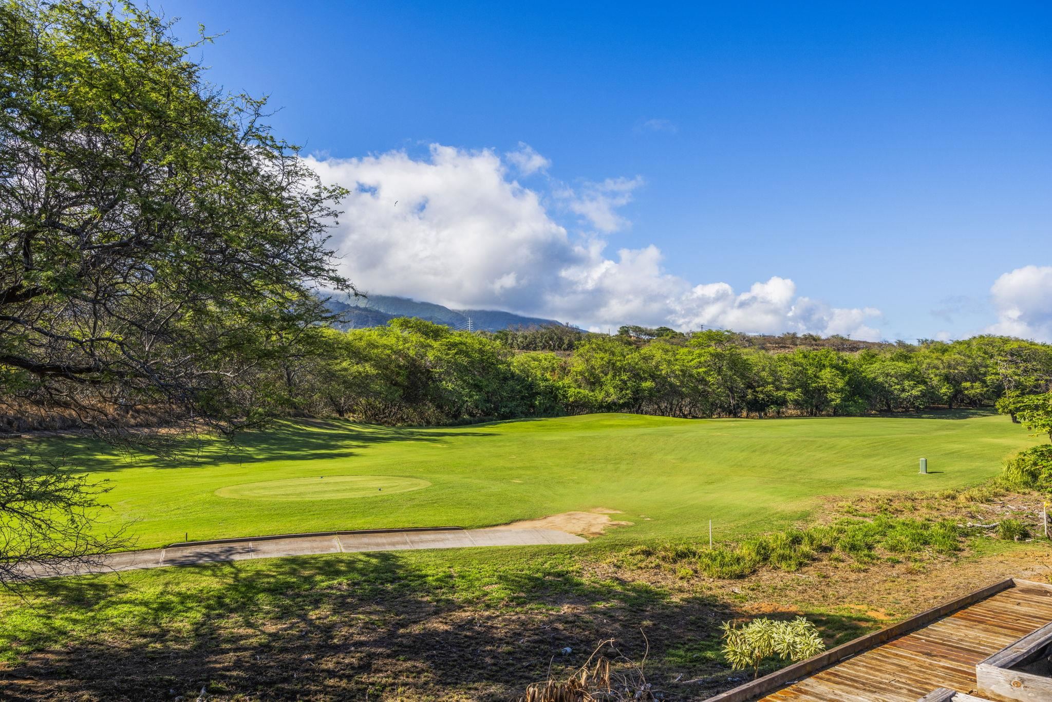 355 Kamalei Cir Property Photo 46