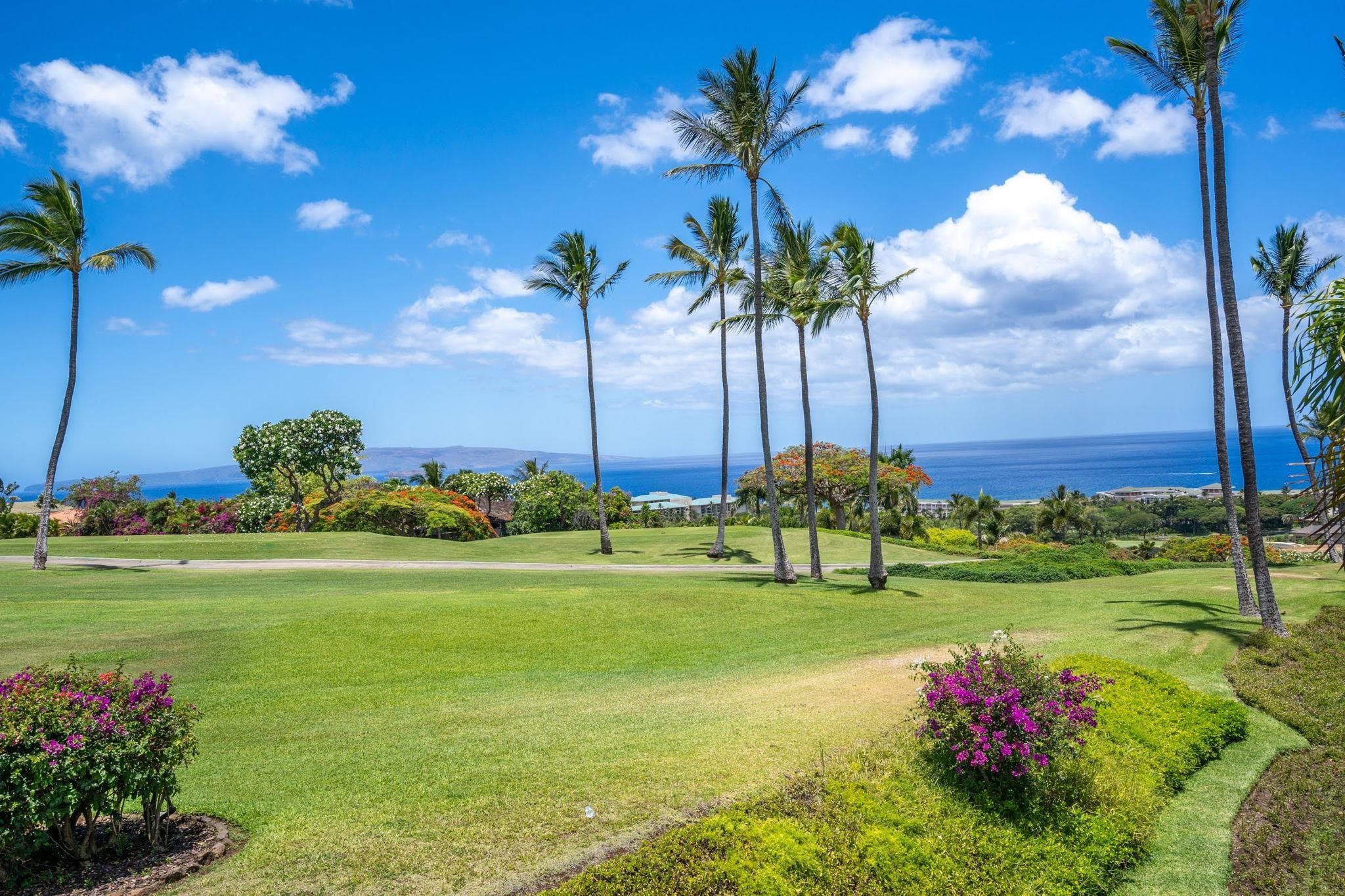 10 Wailea Ekolu Pl Property Photo 2