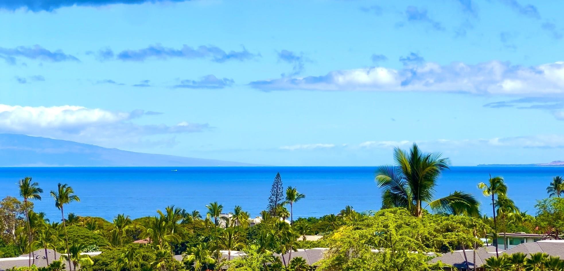 161 Wailea Ike Pl
