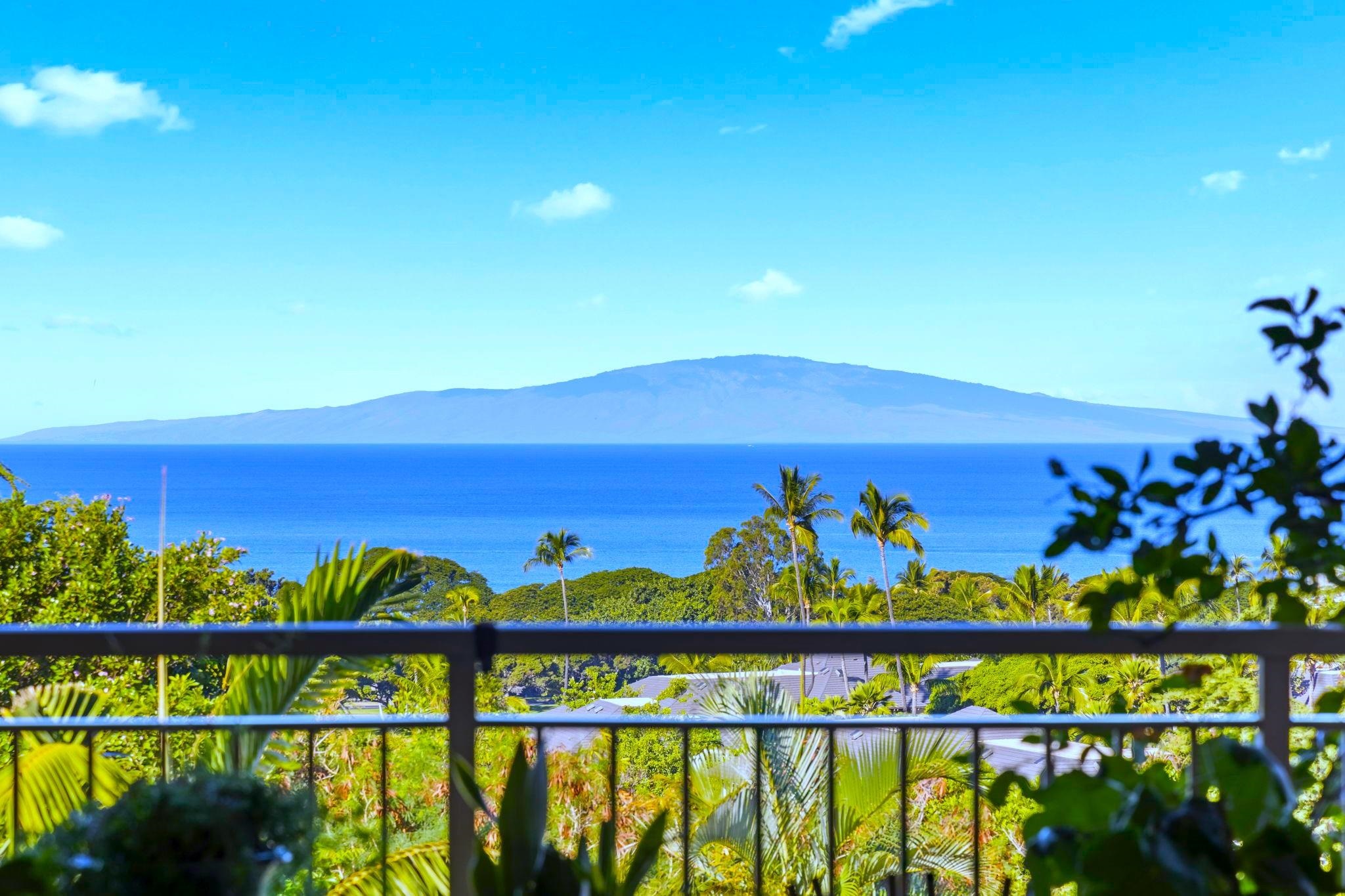 161 Wailea Ike Pl Property Photo 4