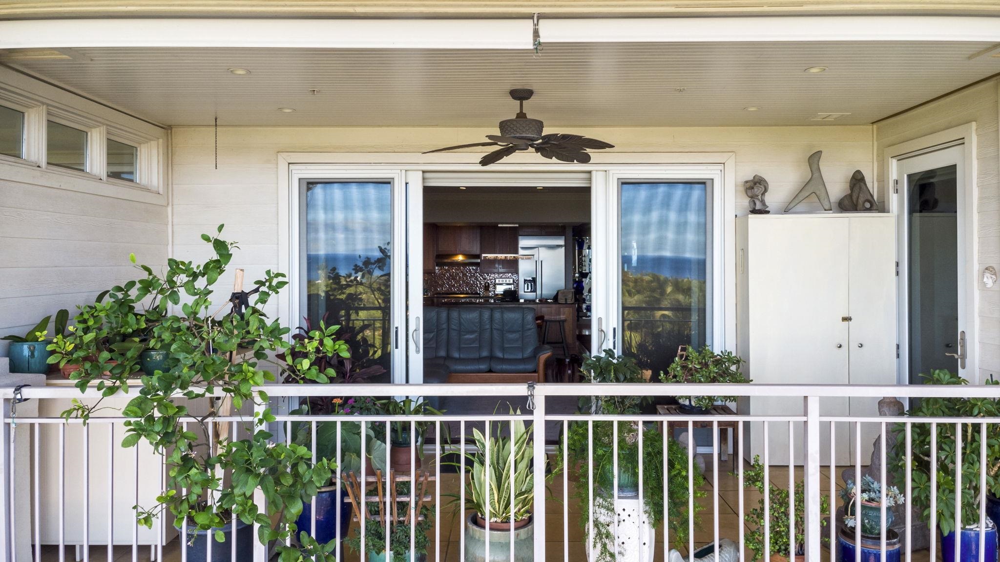 161 Wailea Ike Pl Property Photo 34