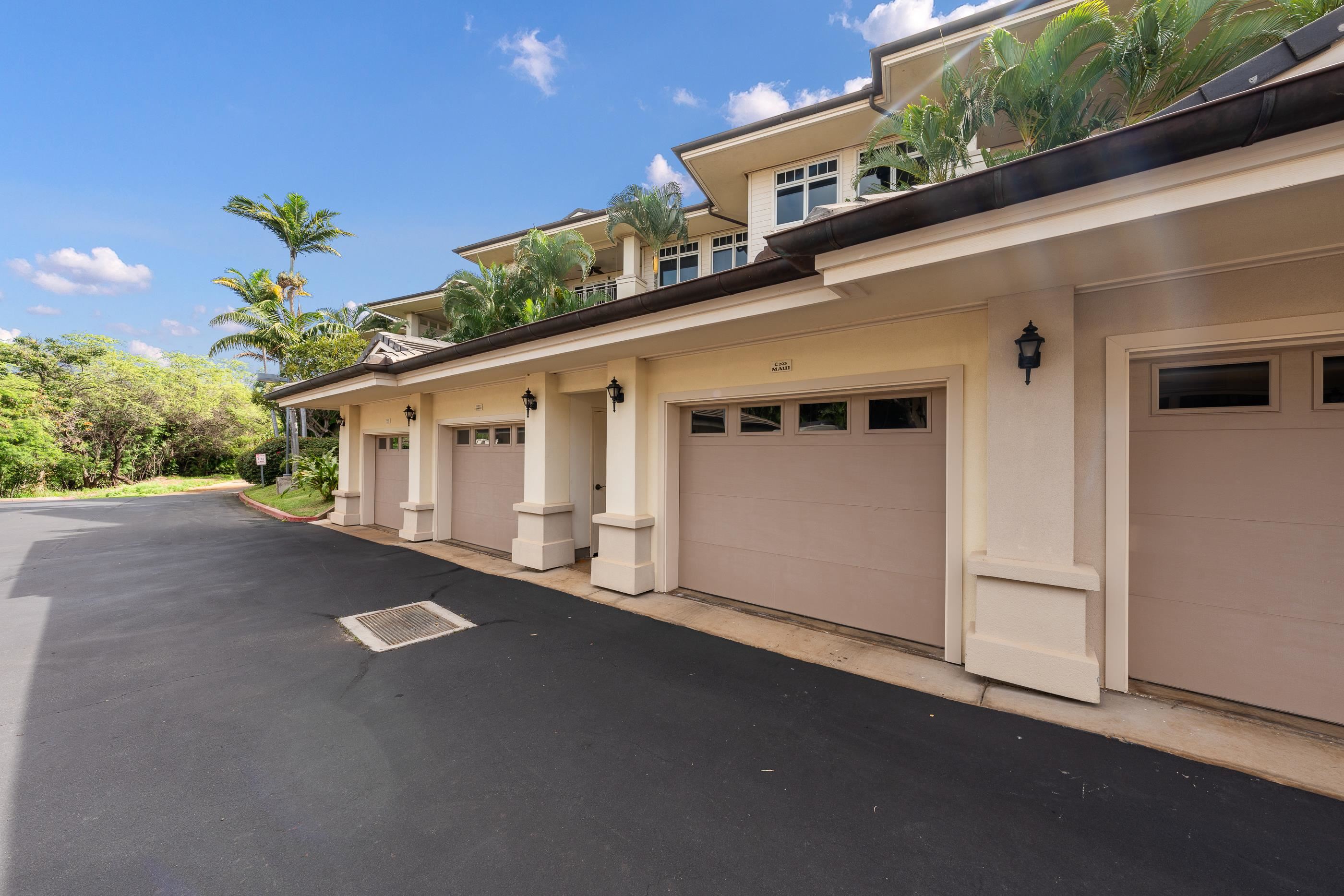 161 Wailea Ike Pl Property Photo 39