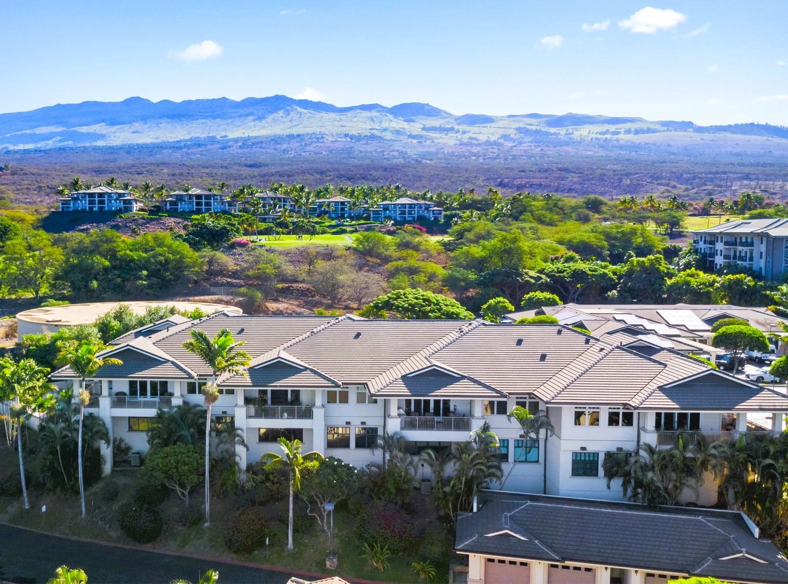 161 Wailea Ike Pl Property Photo 44