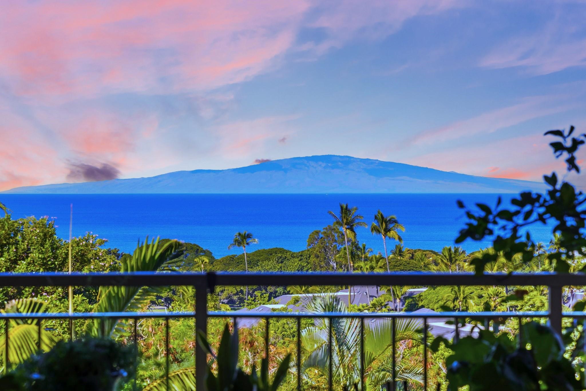 161 Wailea Ike Pl Property Photo 48