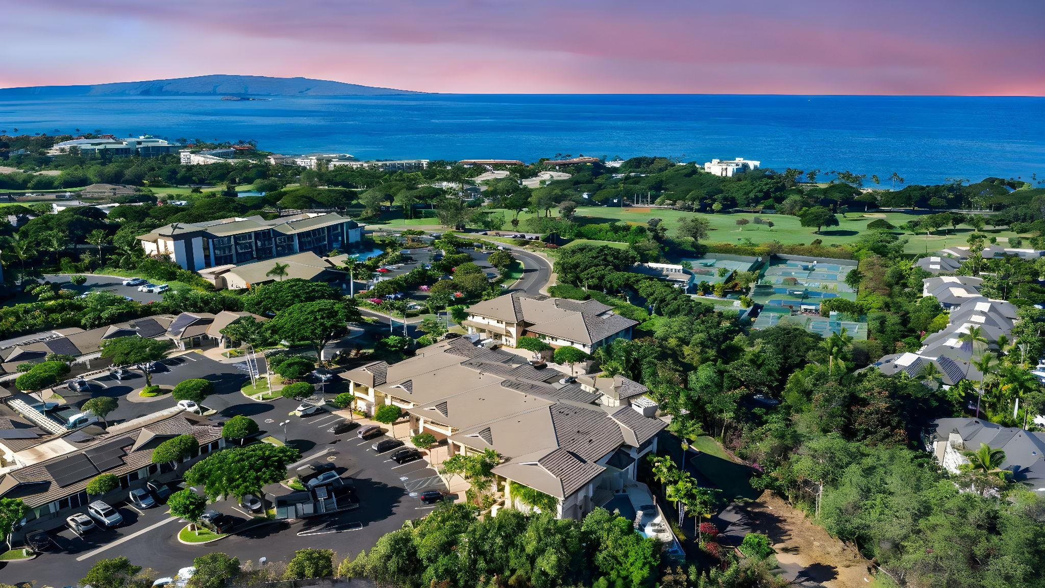 161 Wailea Ike Pl Property Photo 49