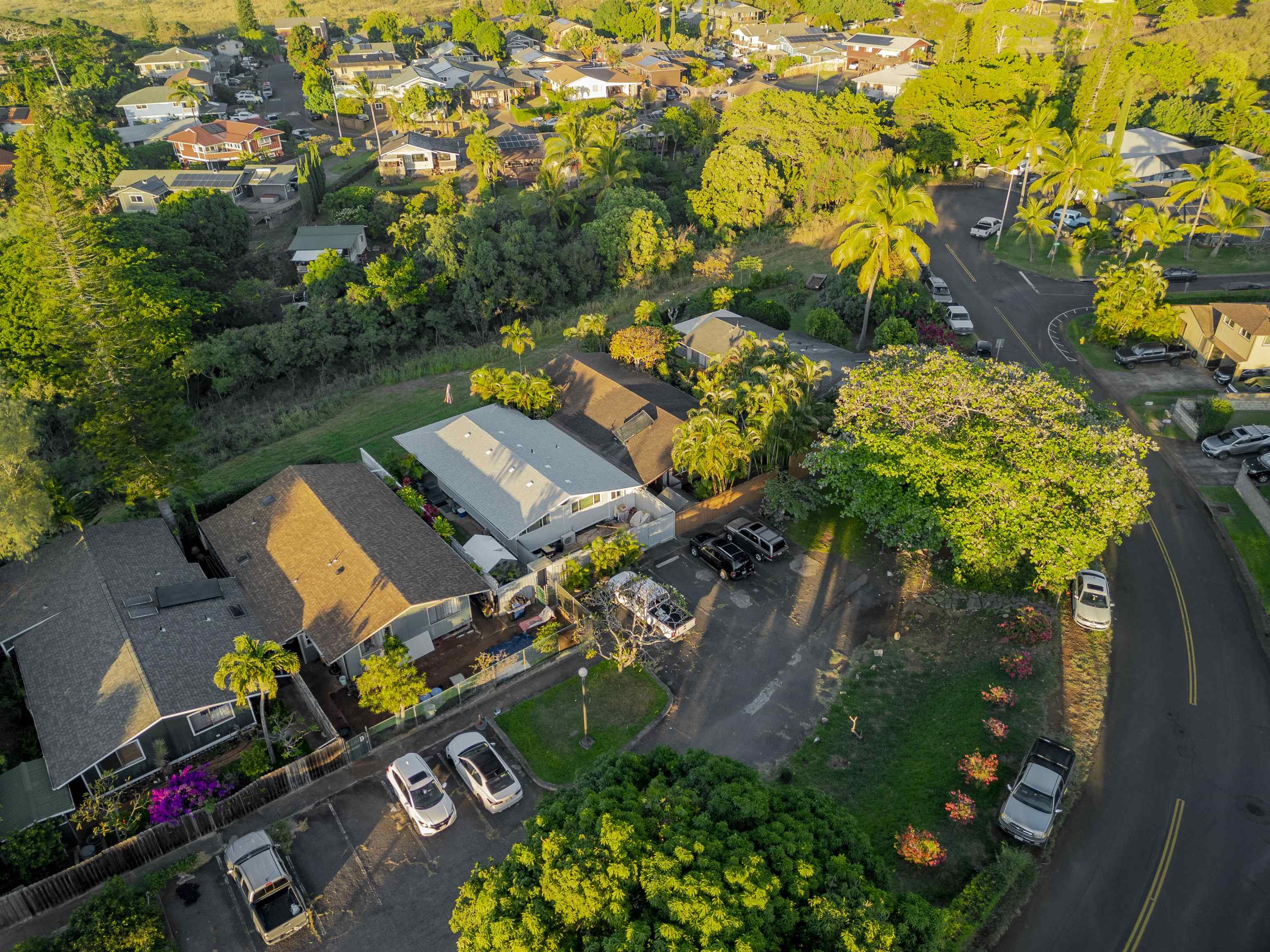 5221-b Kohi St Property Photo 47