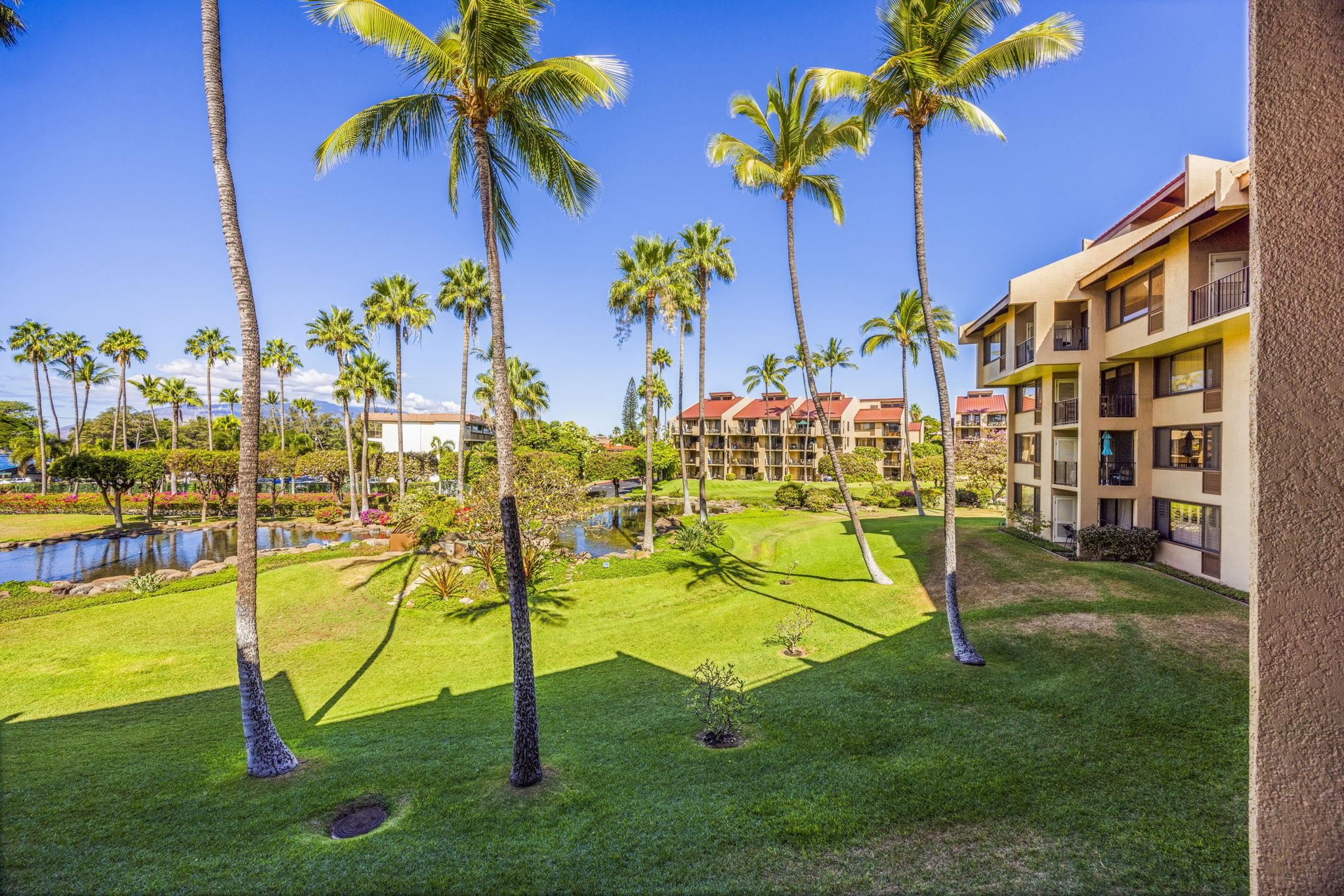2695 S Kihei Rd Property Photo 14