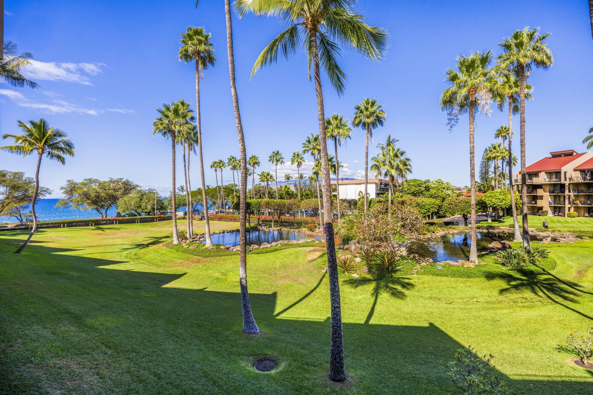2695 S Kihei Rd Property Photo 35