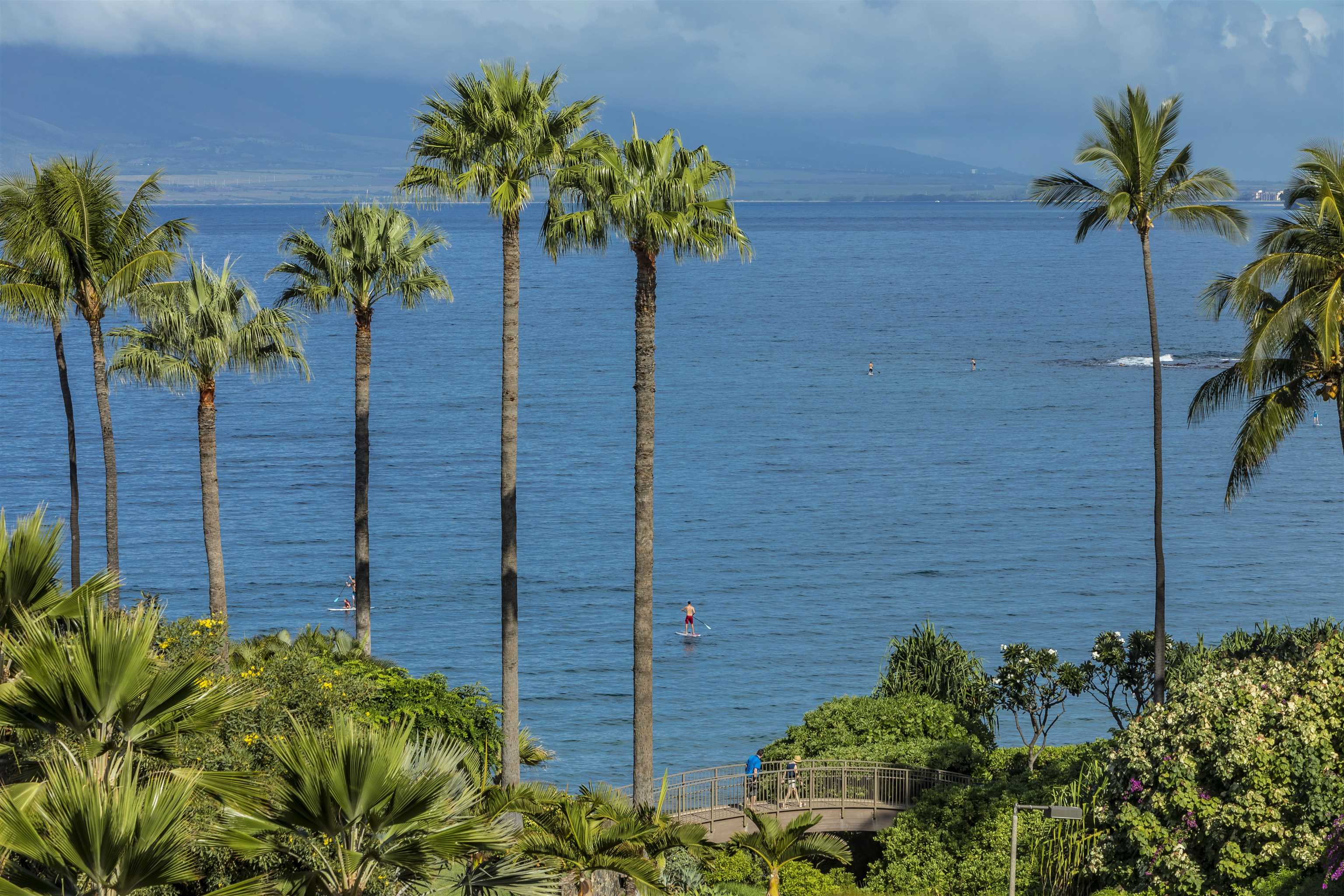 4000 Wailea Alanui Dr Property Photo 2