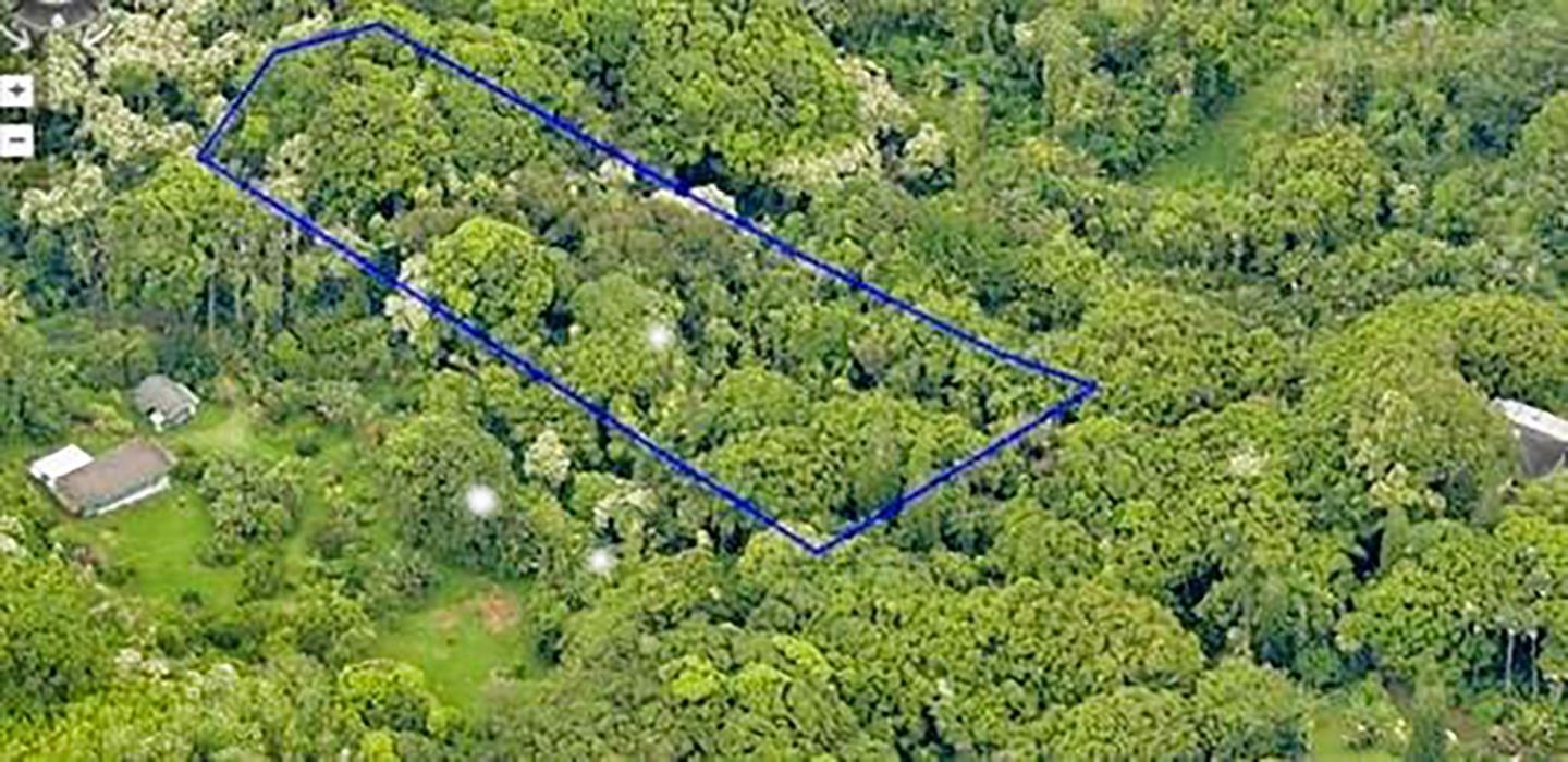772 Nahiku Rd Property Photo 1