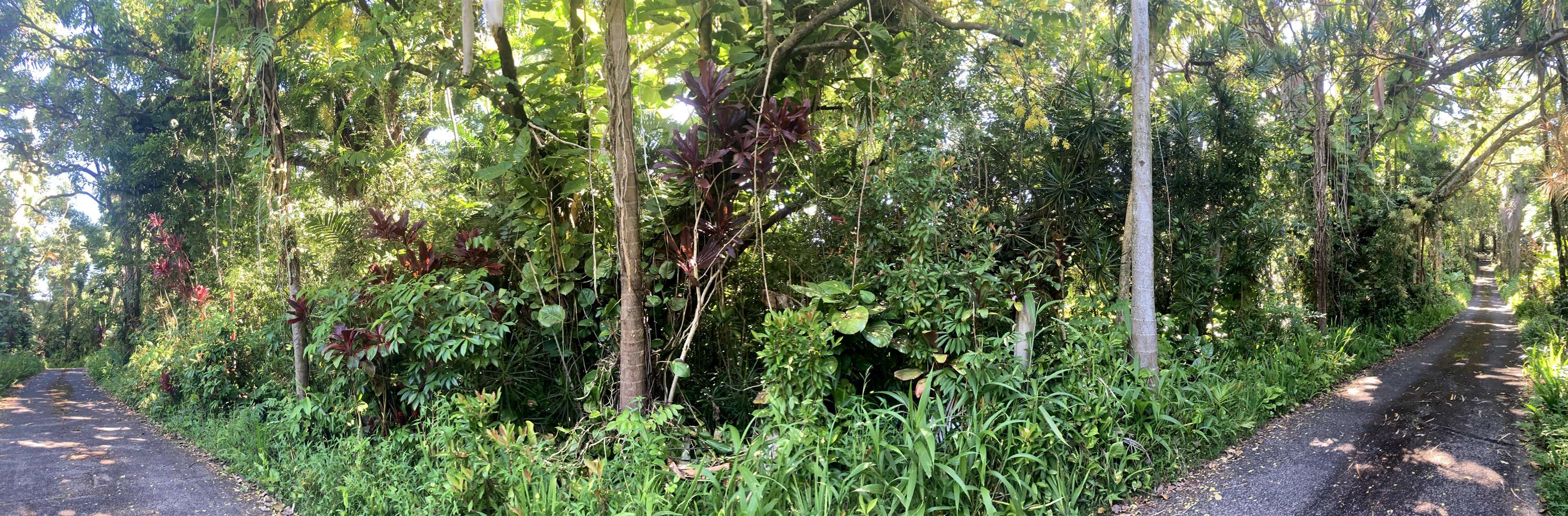 772 Nahiku Rd Property Photo 25