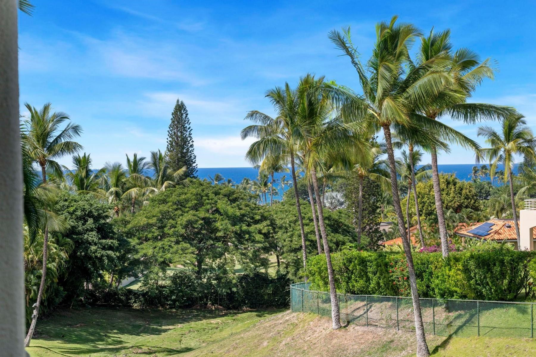 3200 Wailea Alanui Dr Property Photo 31