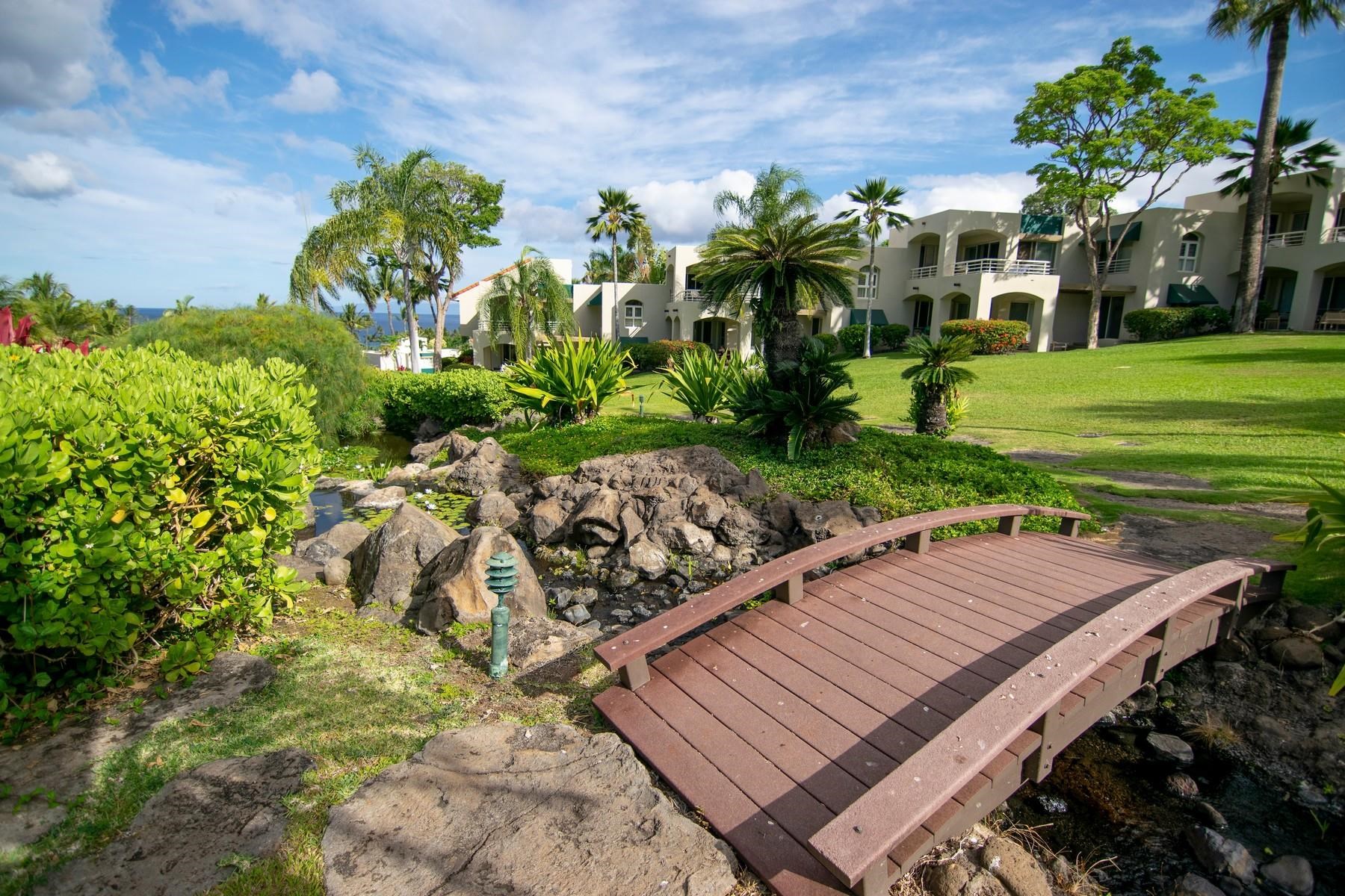 3200 Wailea Alanui Dr Property Photo 43