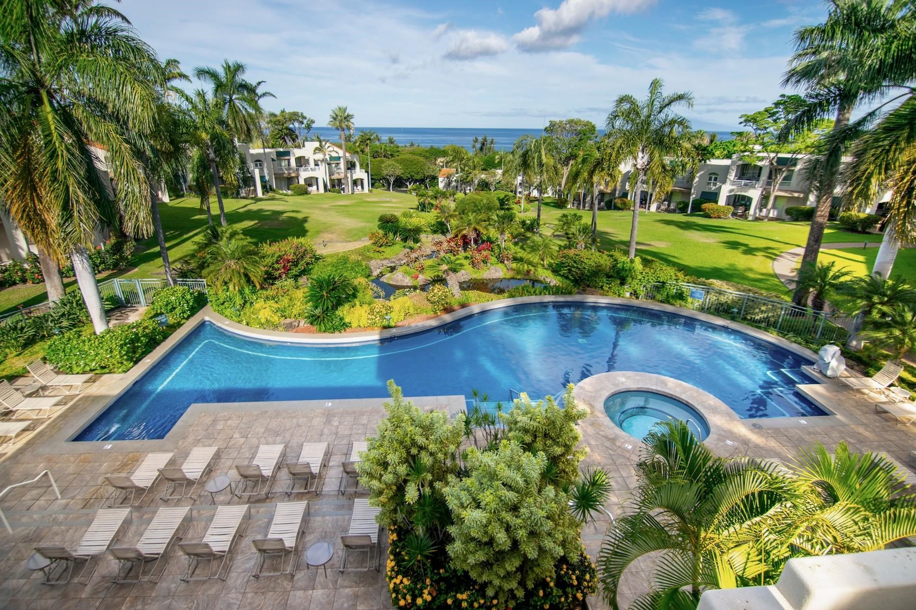 3200 Wailea Alanui Dr Property Photo 45