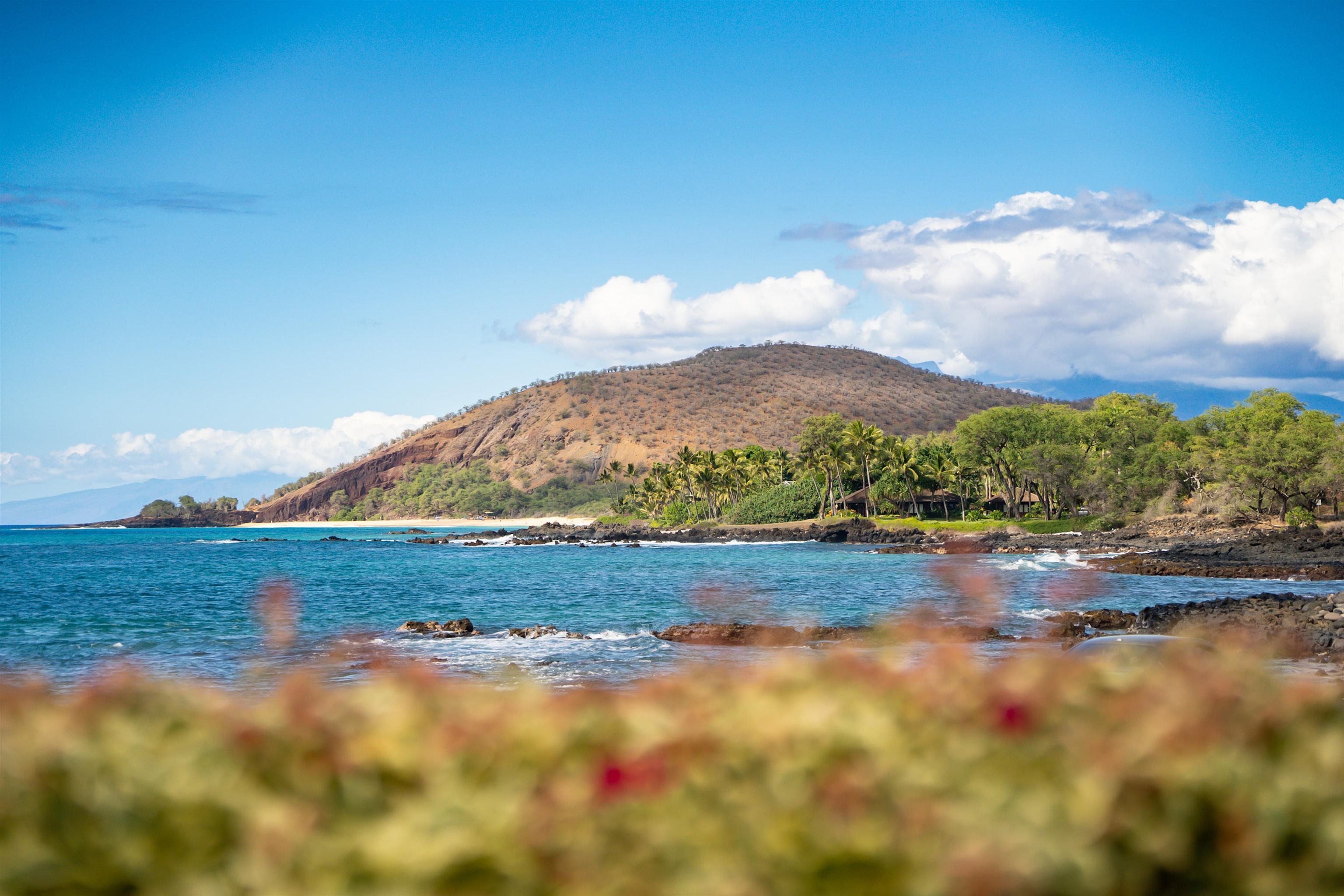 7505 Makena Rd Property Photo 49