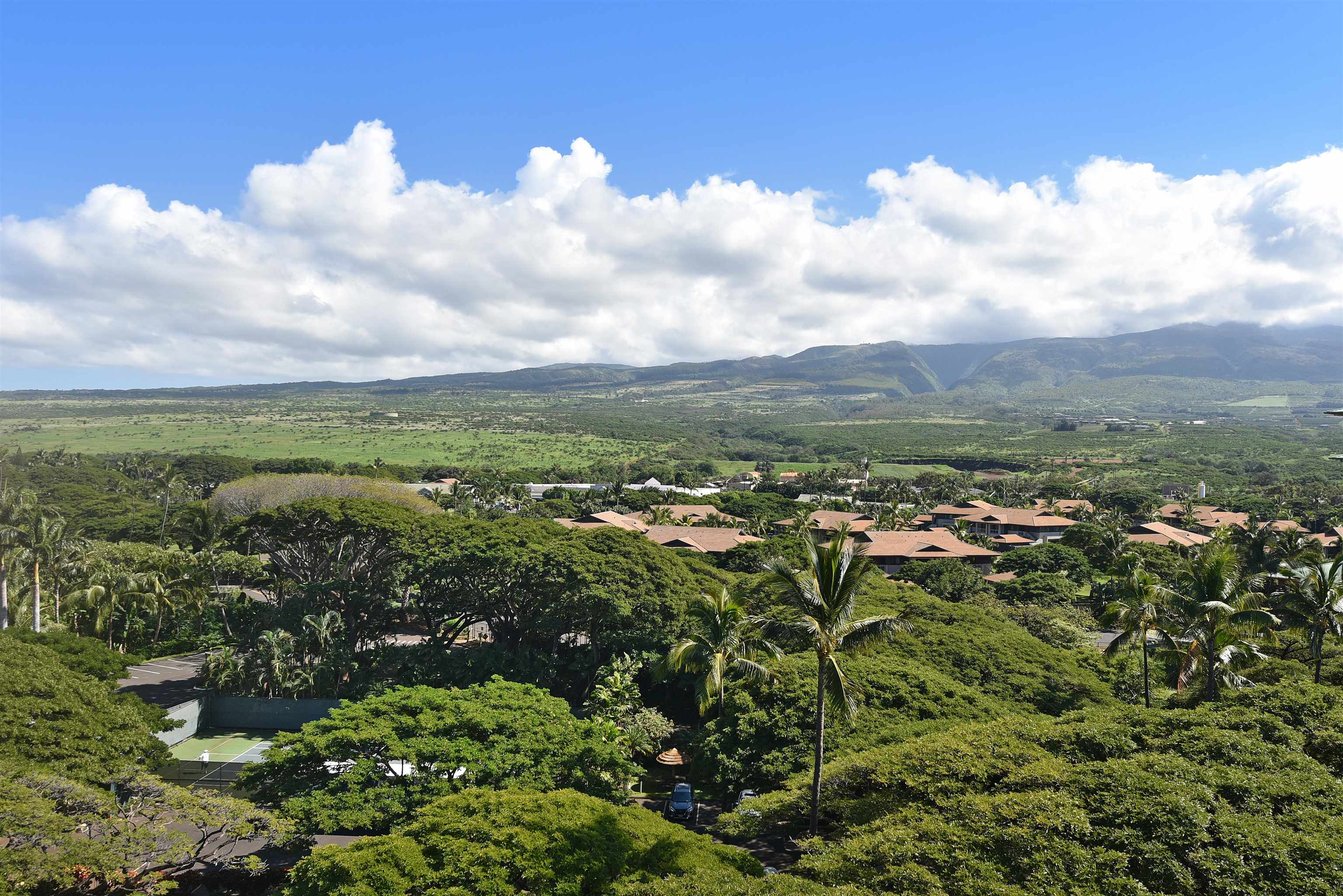 110 Kaanapali Shores Pl Property Photo 18