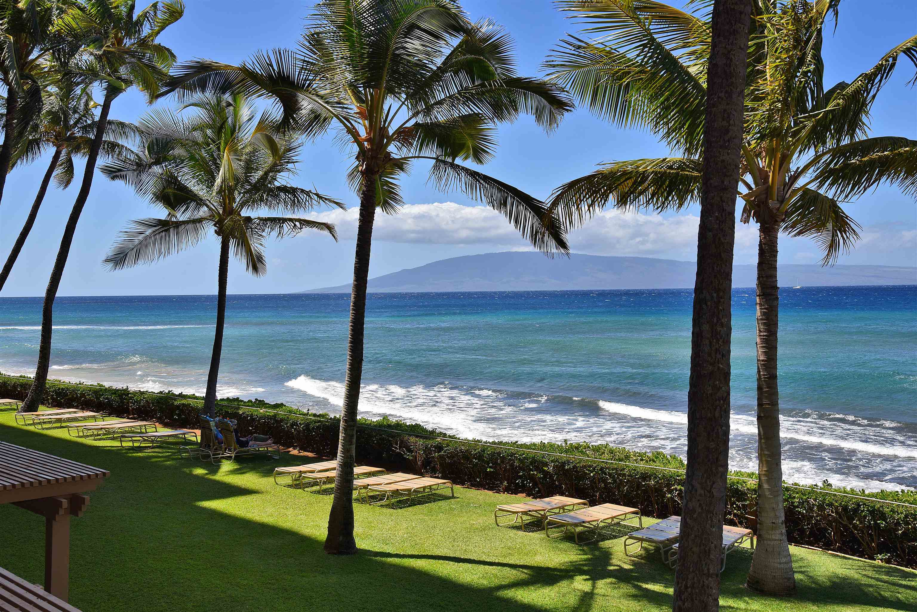 110 Kaanapali Shores Pl Property Photo 19