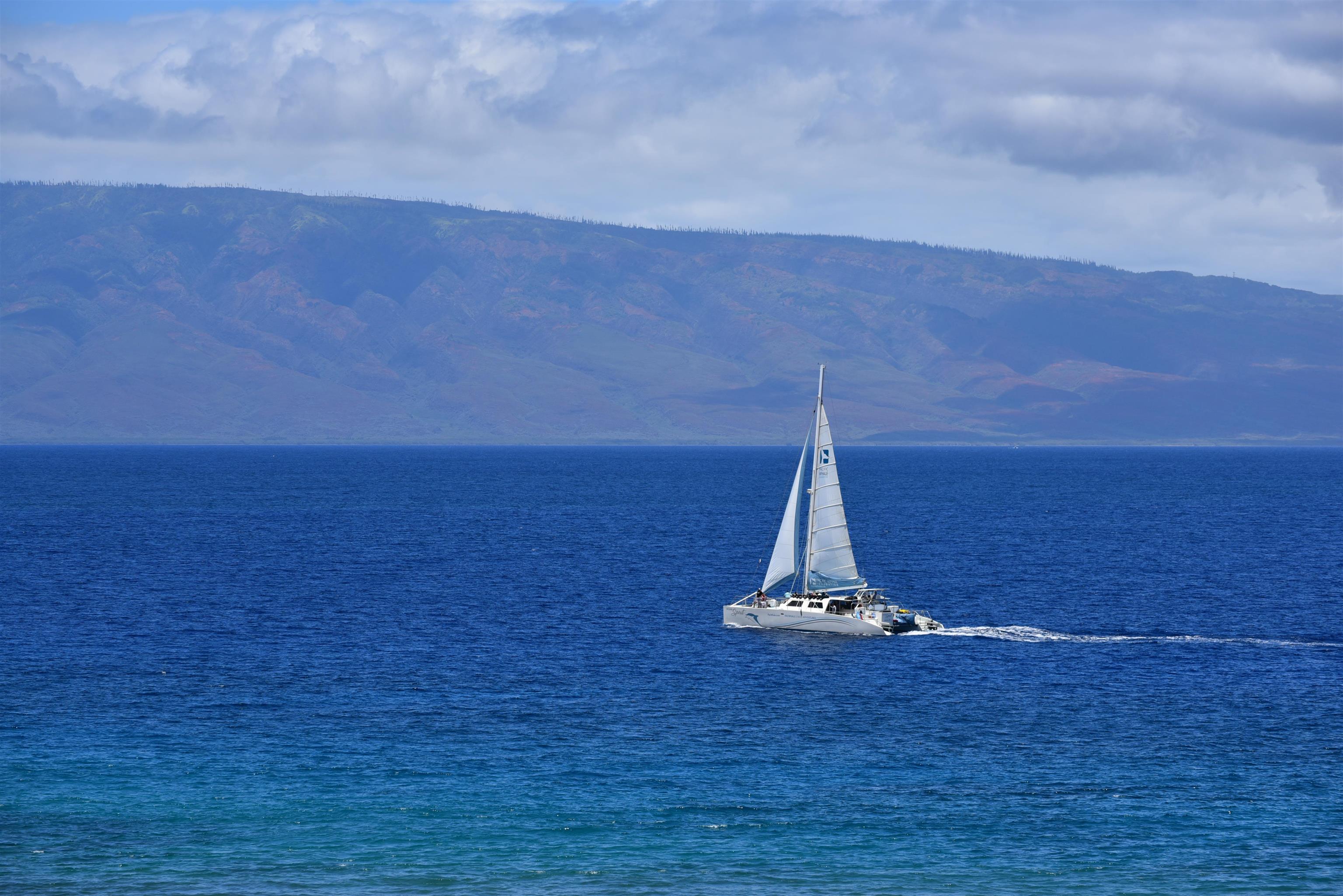 110 Kaanapali Shores Pl Property Photo 20