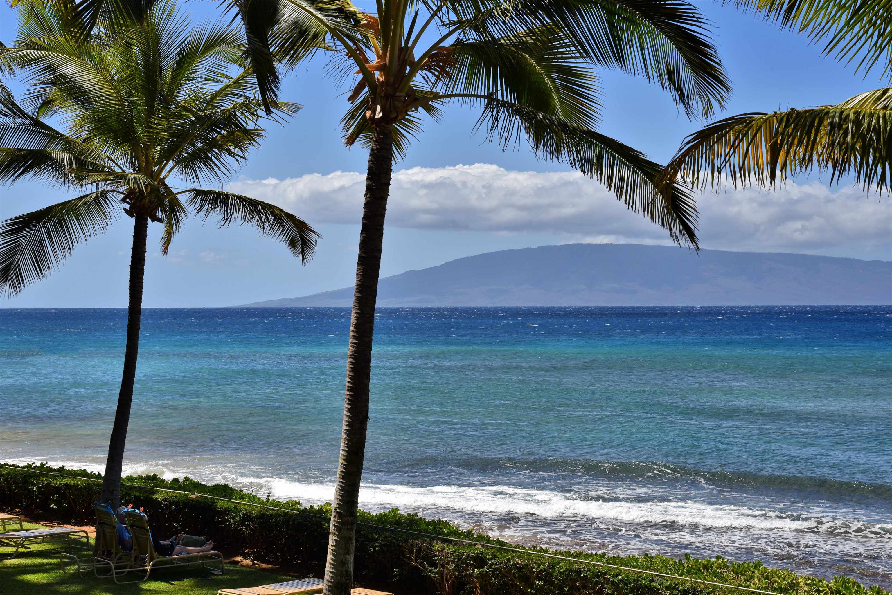 110 Kaanapali Shores Pl Property Photo 21