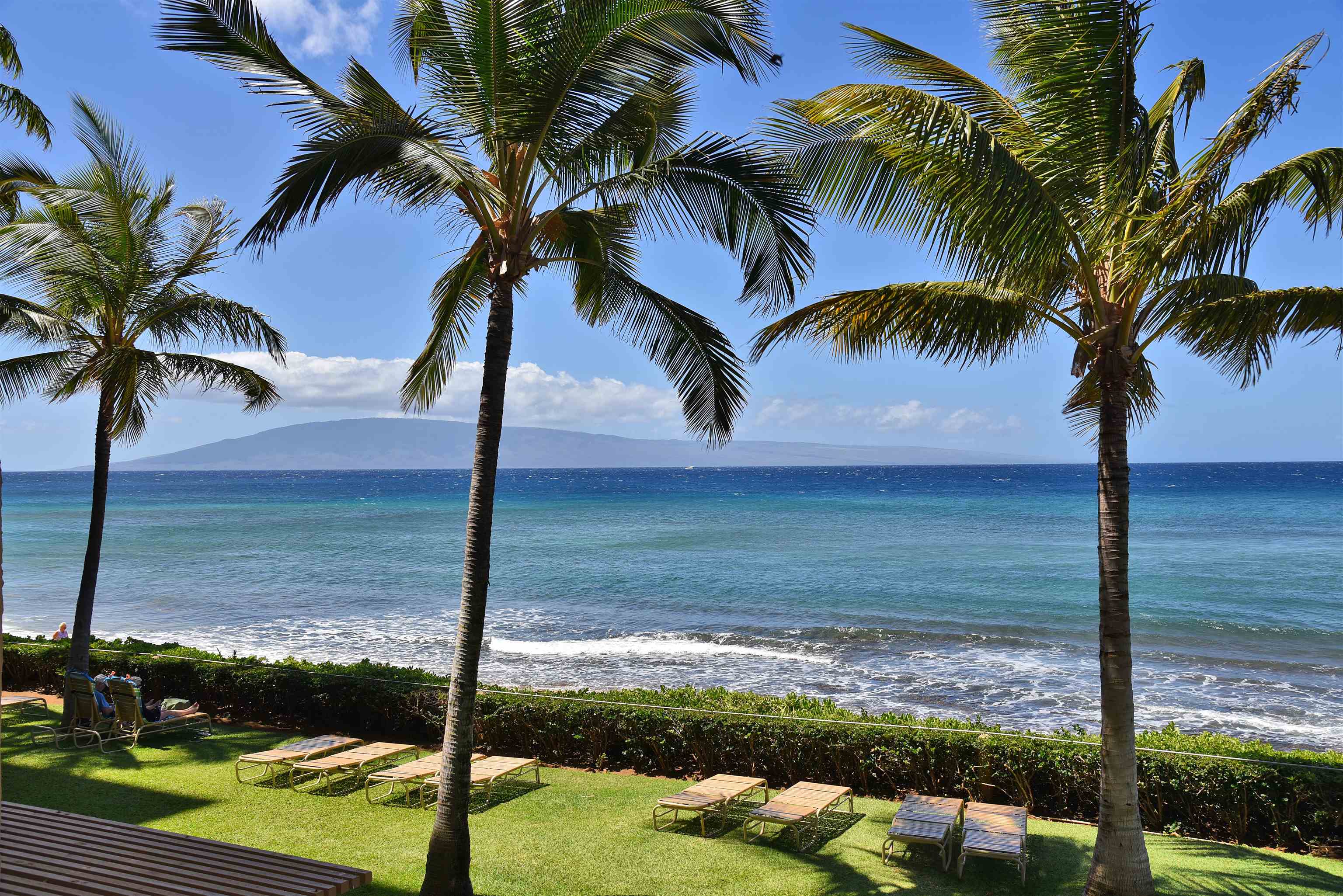 110 Kaanapali Shores Pl Property Photo 27