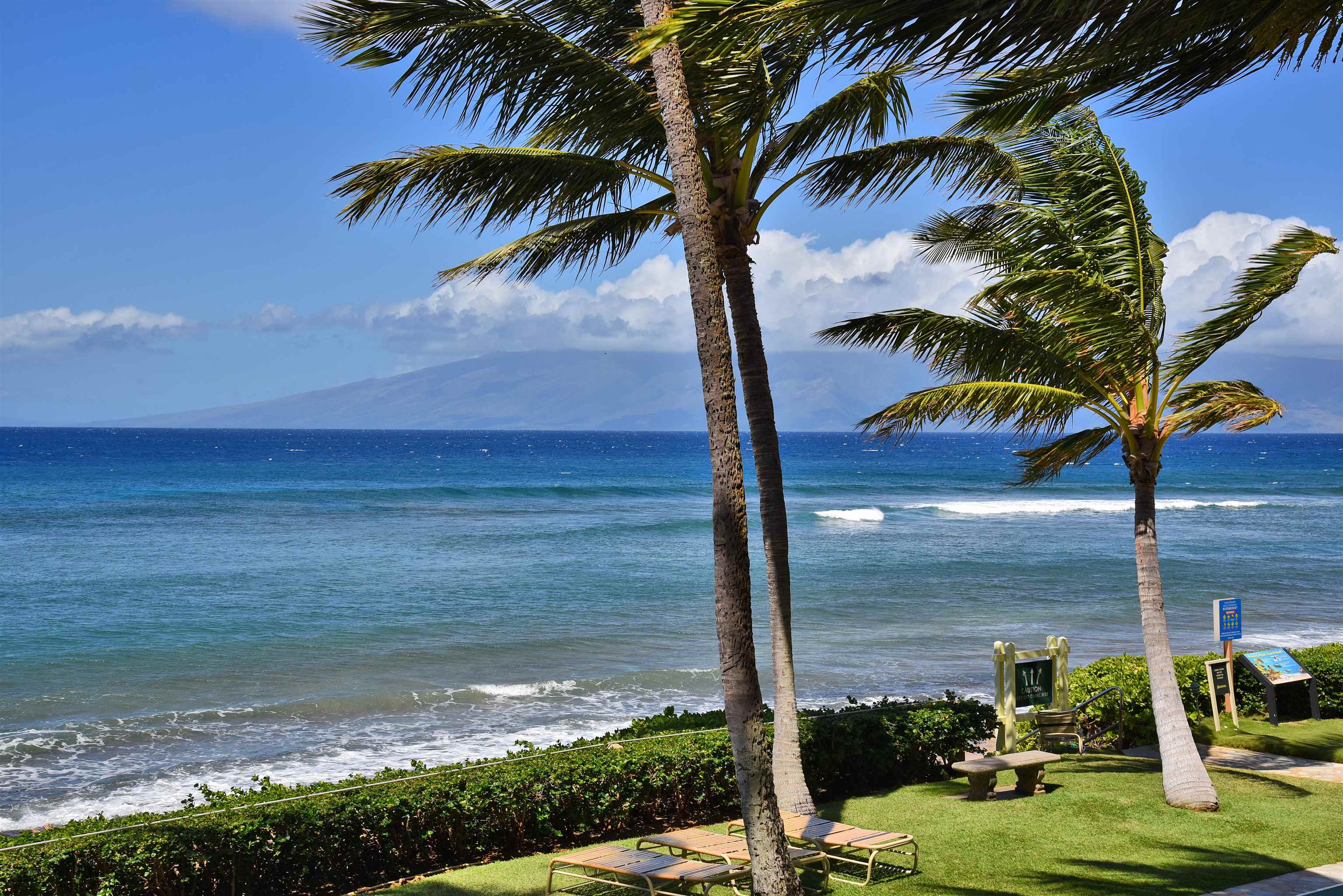110 Kaanapali Shores Pl Property Photo 44