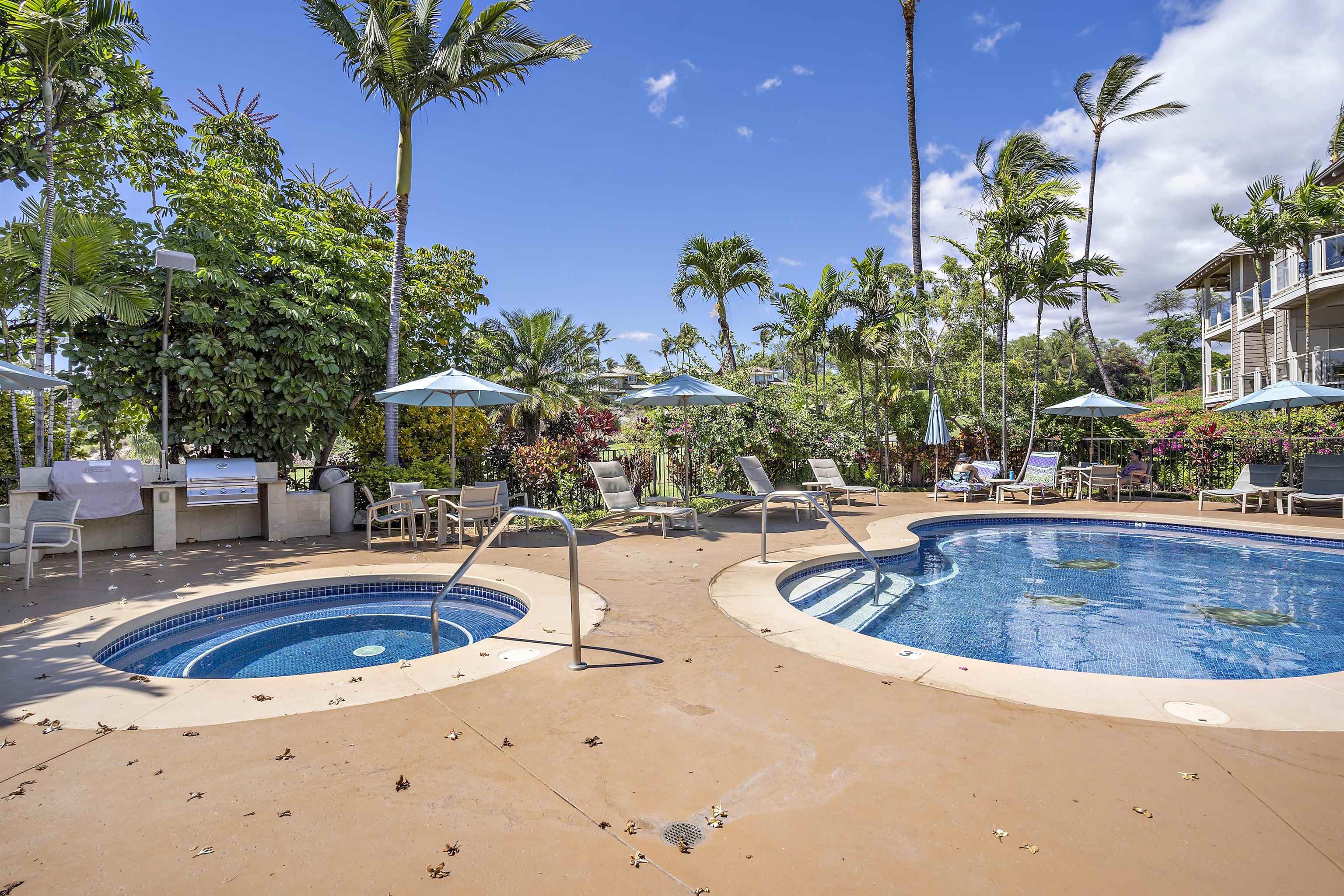 155 Wailea Ike Pl Property Photo 33