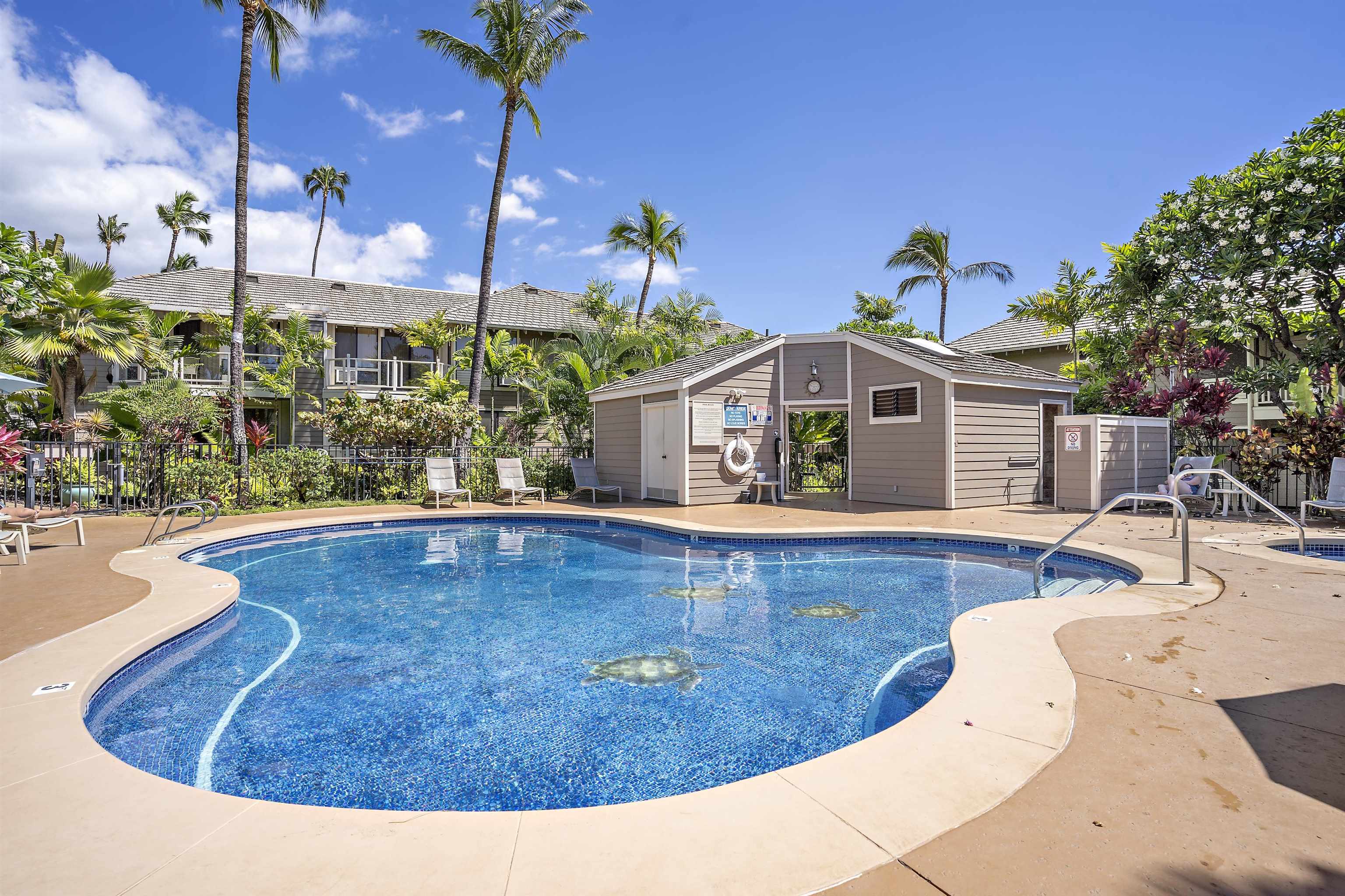 155 Wailea Ike Pl Property Photo 34
