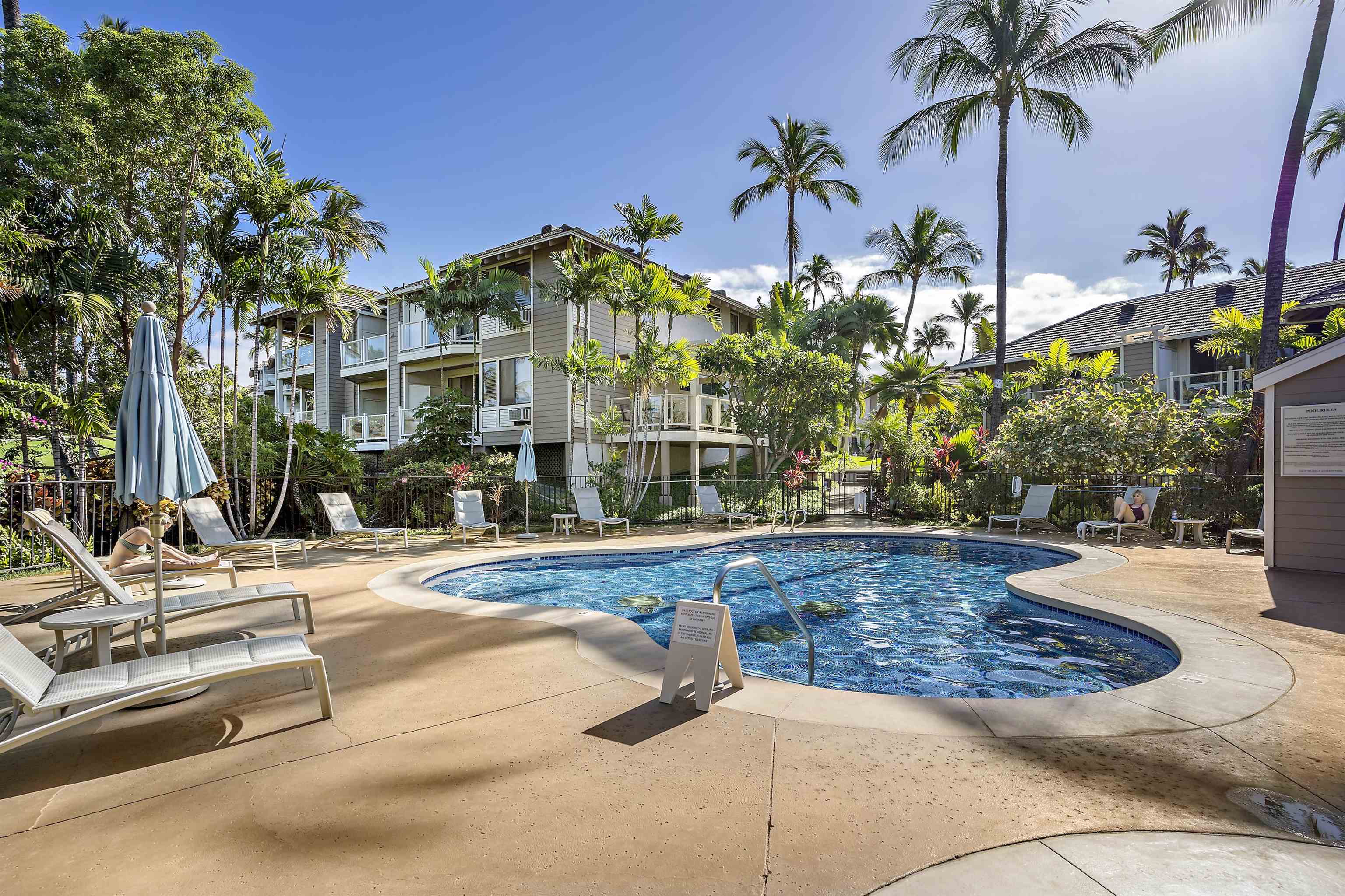 155 Wailea Ike Pl Property Photo 35