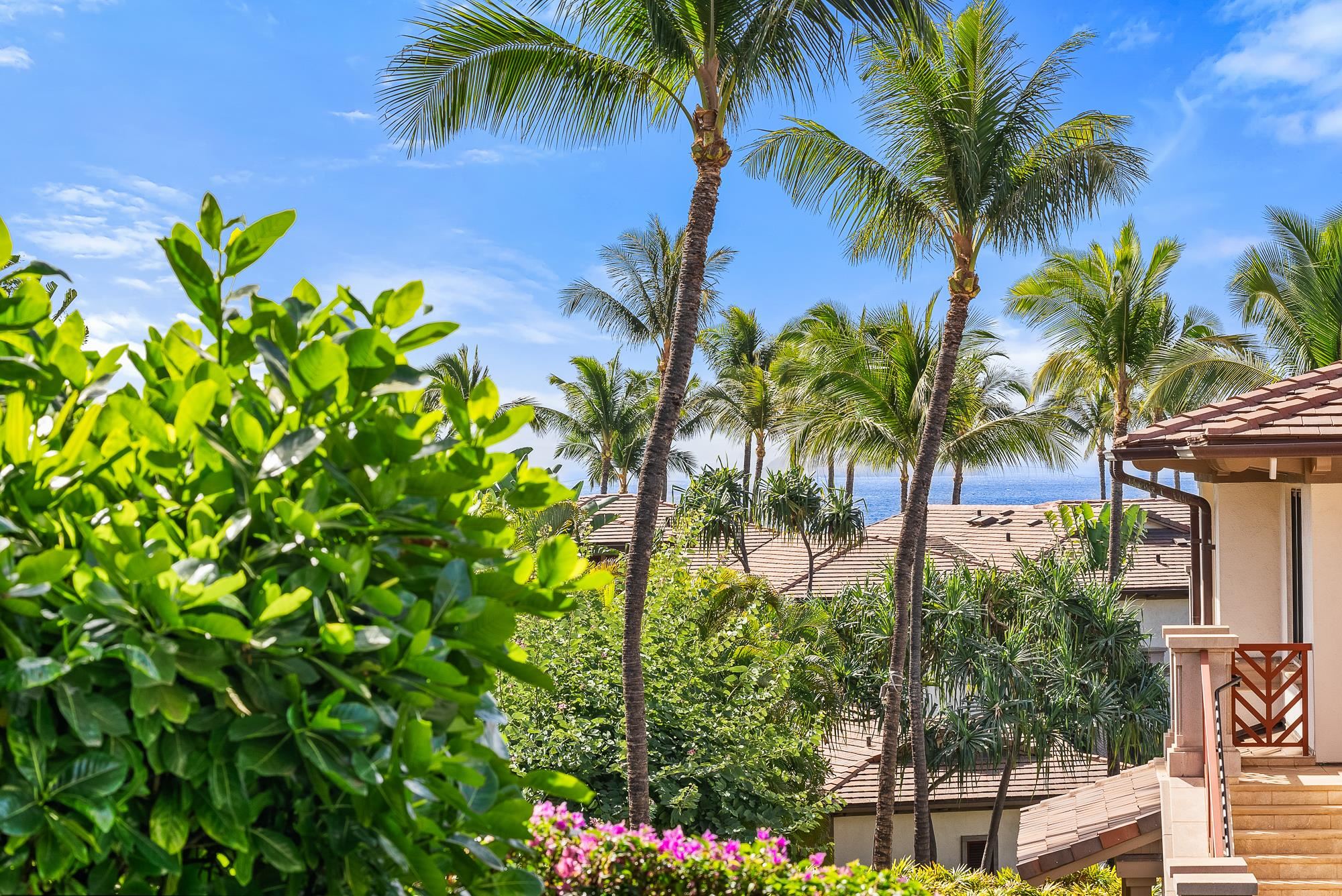3800 Wailea Alanui Dr Property Photo 39