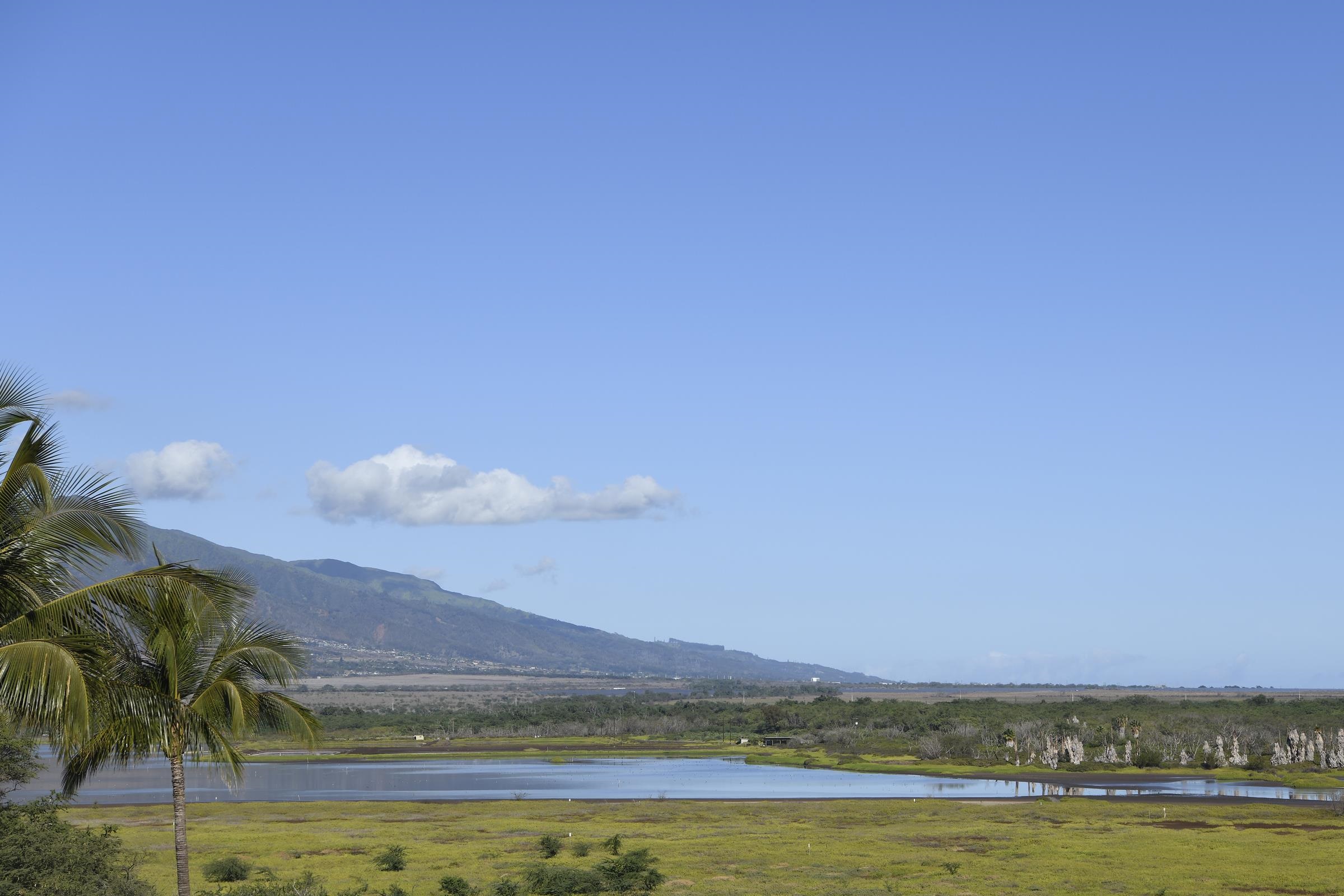 145 N Kihei Rd Property Photo 8
