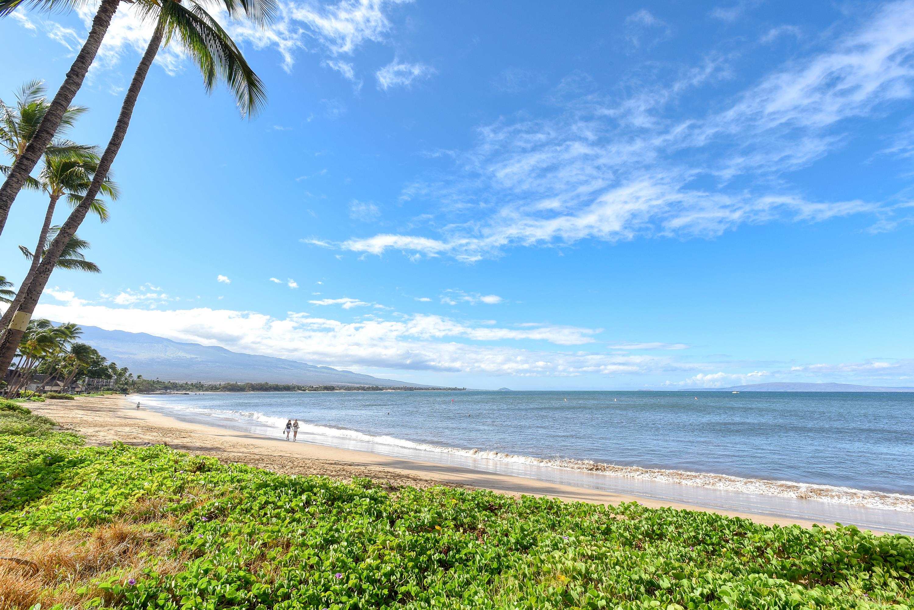 145 N Kihei Rd Property Photo 9