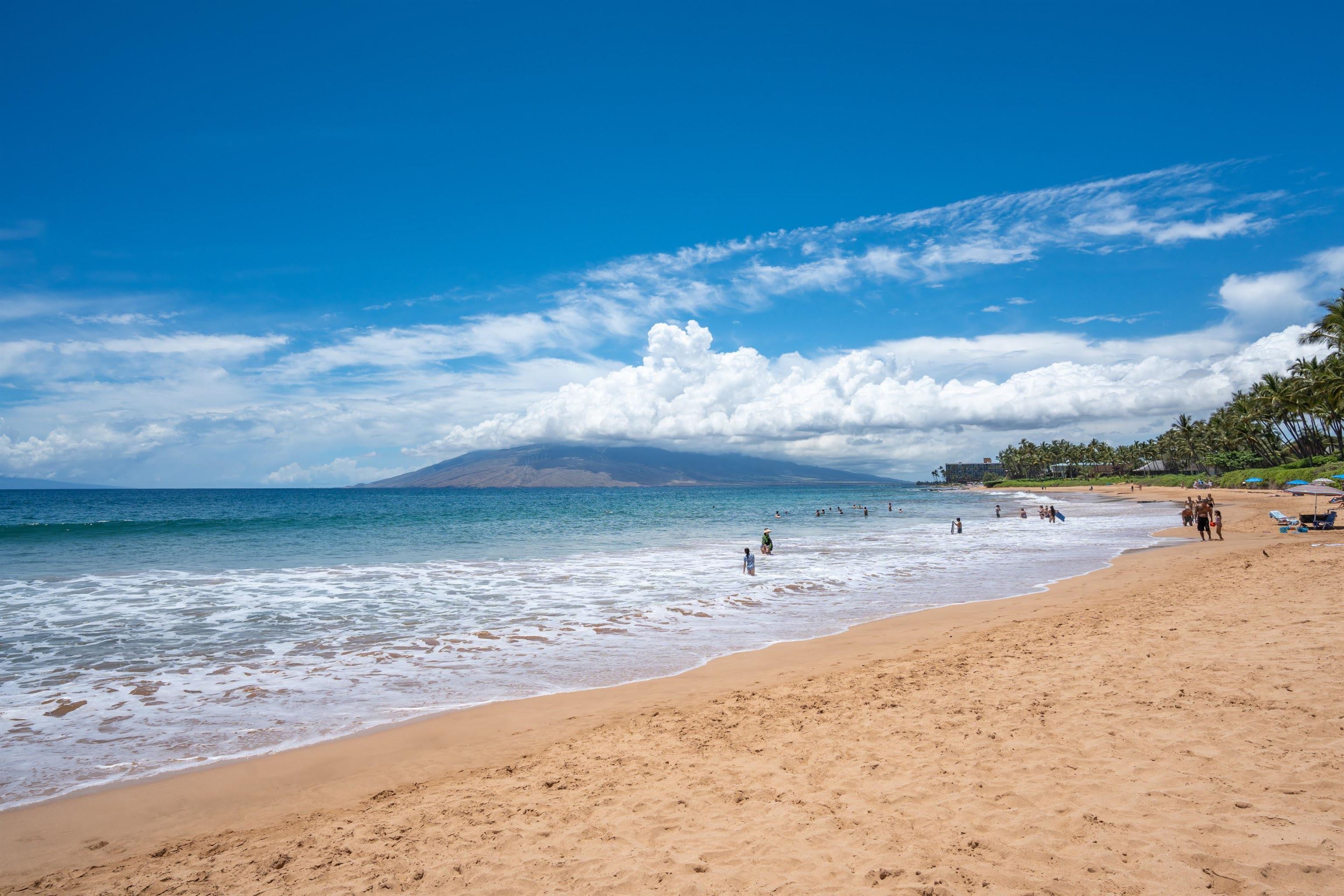 3300 Wailea Alanui Dr Property Photo 39