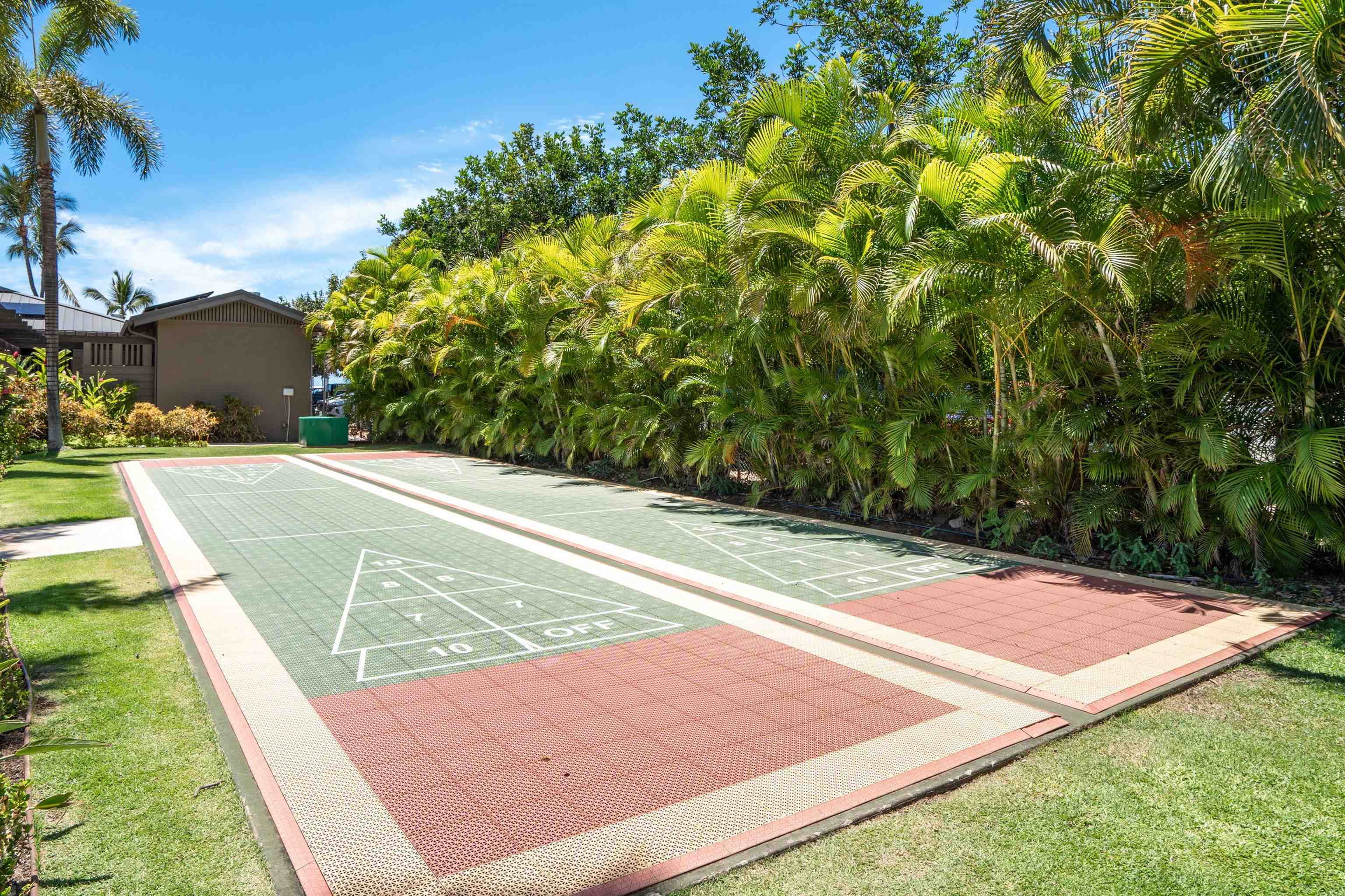 3300 Wailea Alanui Dr Property Photo 46