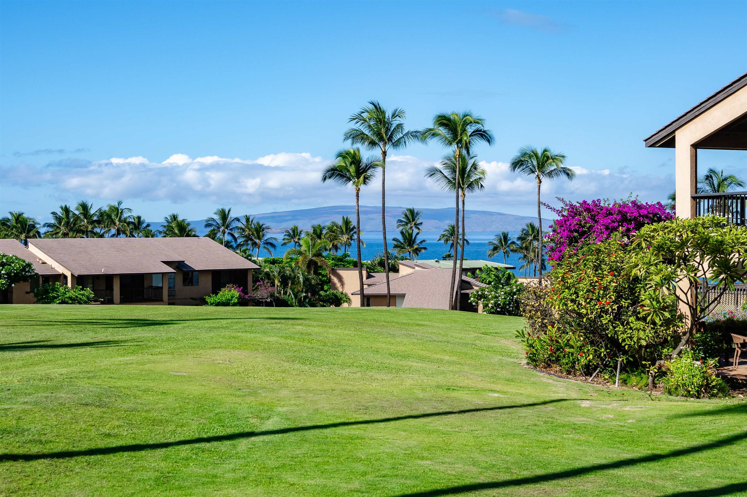 3300 Wailea Alanui Dr Property Photo 21