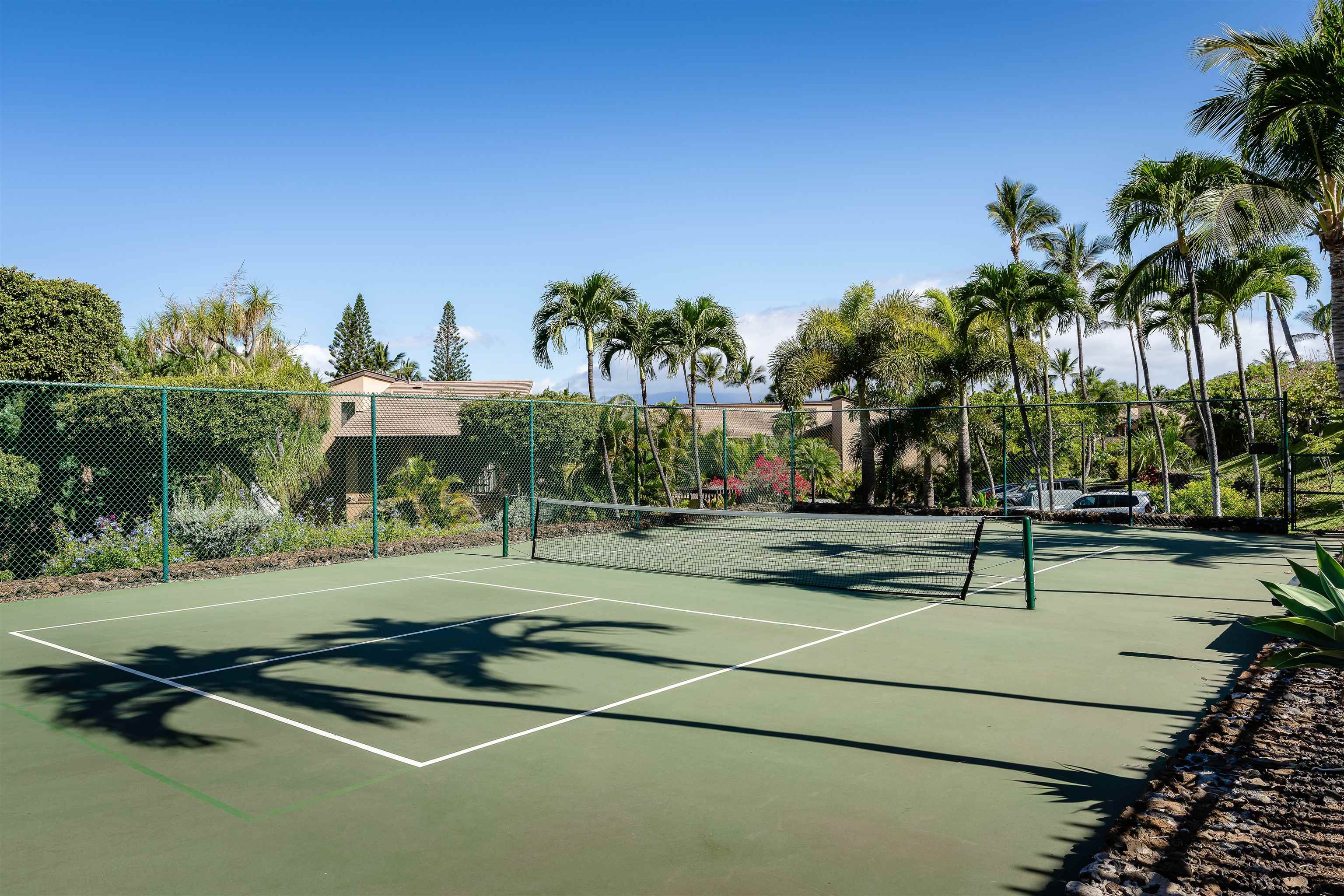 3300 Wailea Alanui Dr Property Photo 23