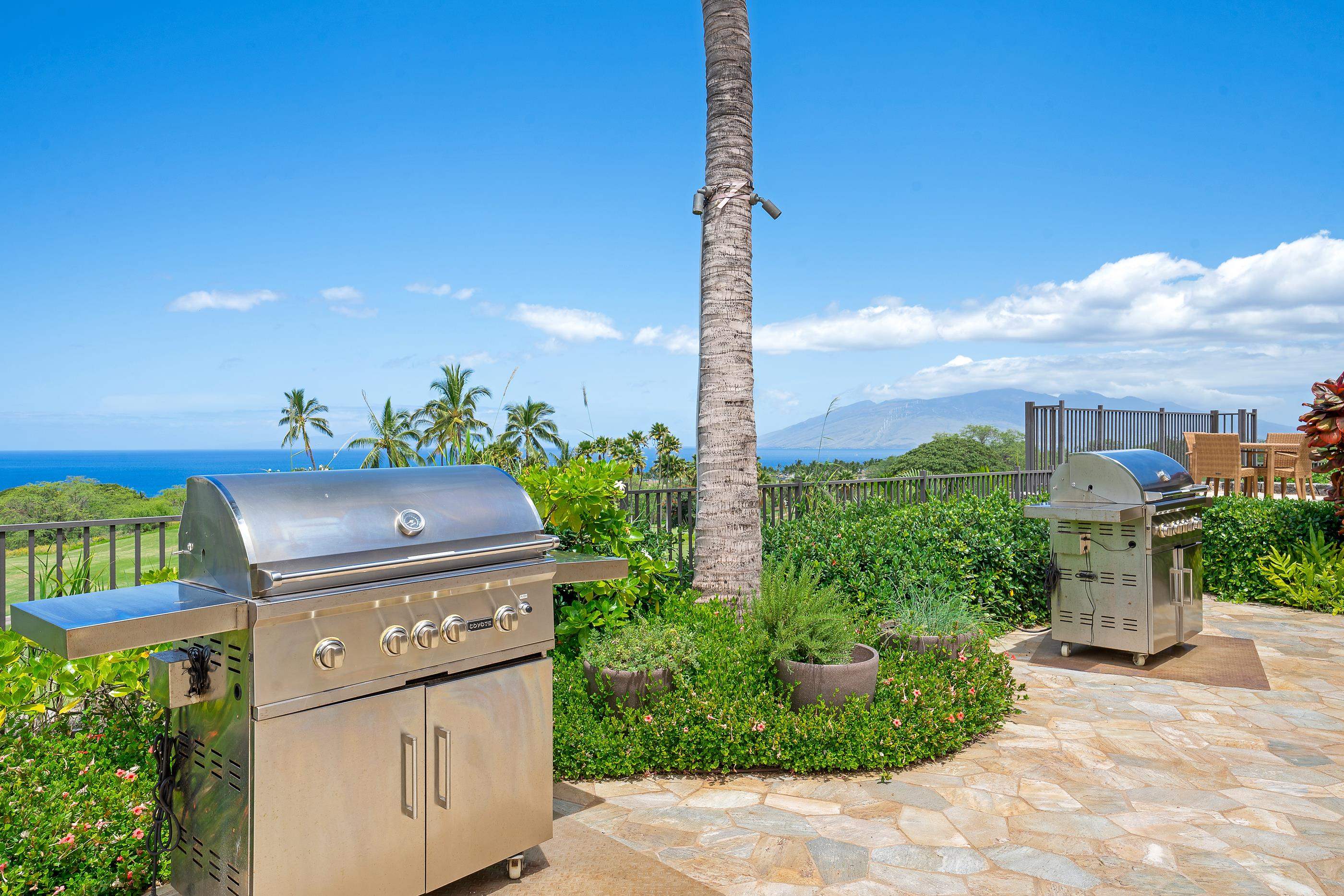 67 Wailea Gateway Pl Property Photo 41
