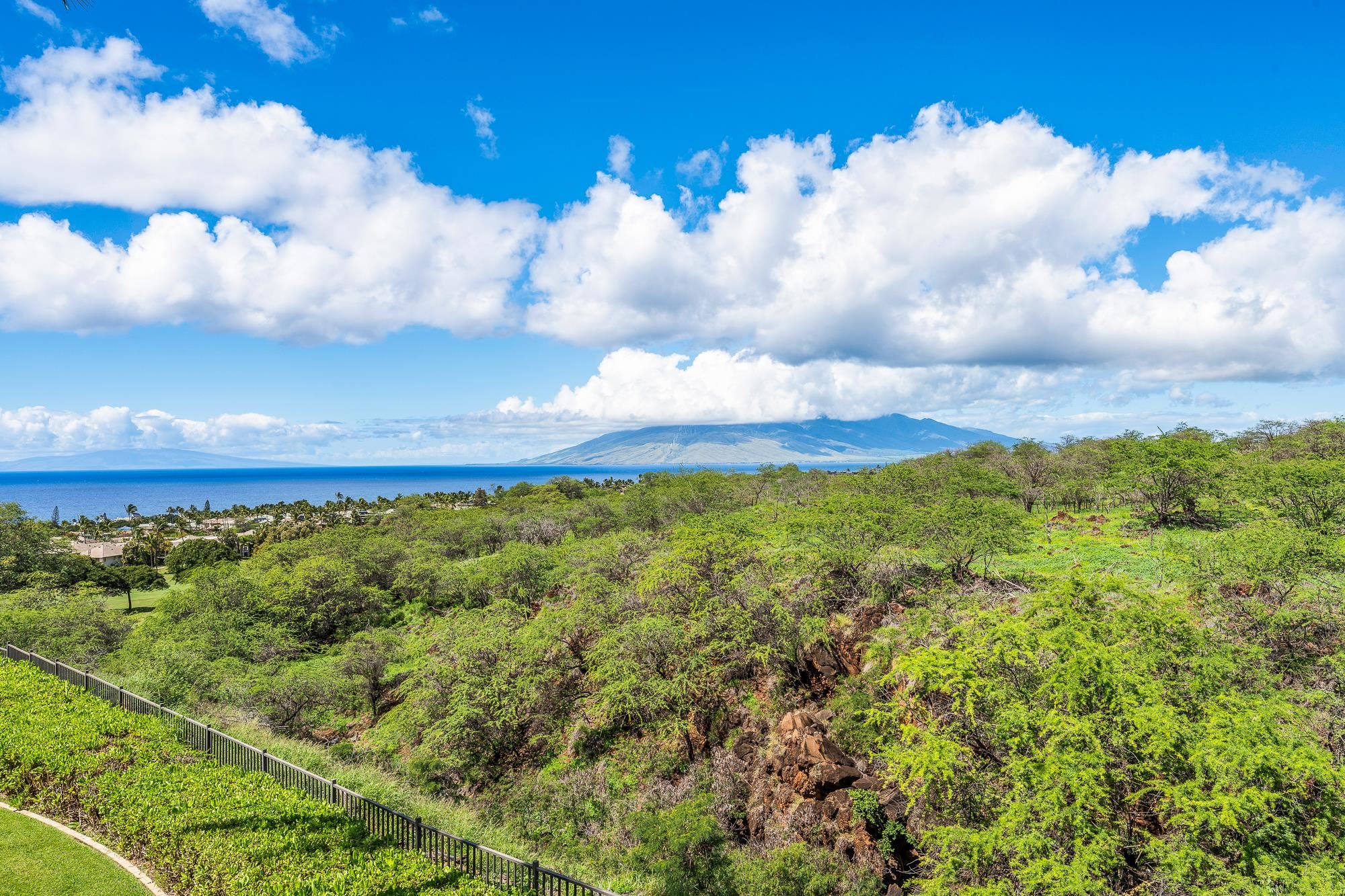 67 Wailea Gateway Pl Property Photo 49