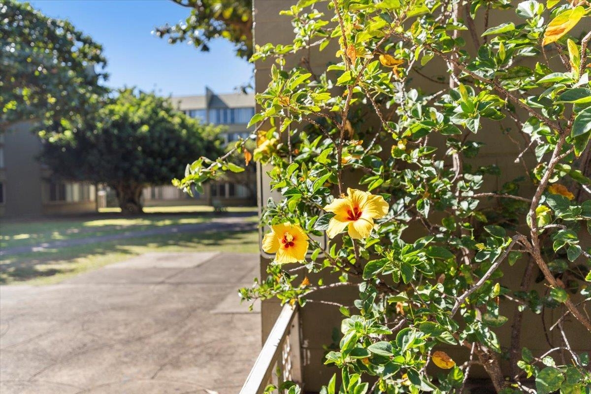 111 Kahului Beach Rd Property Photo 19
