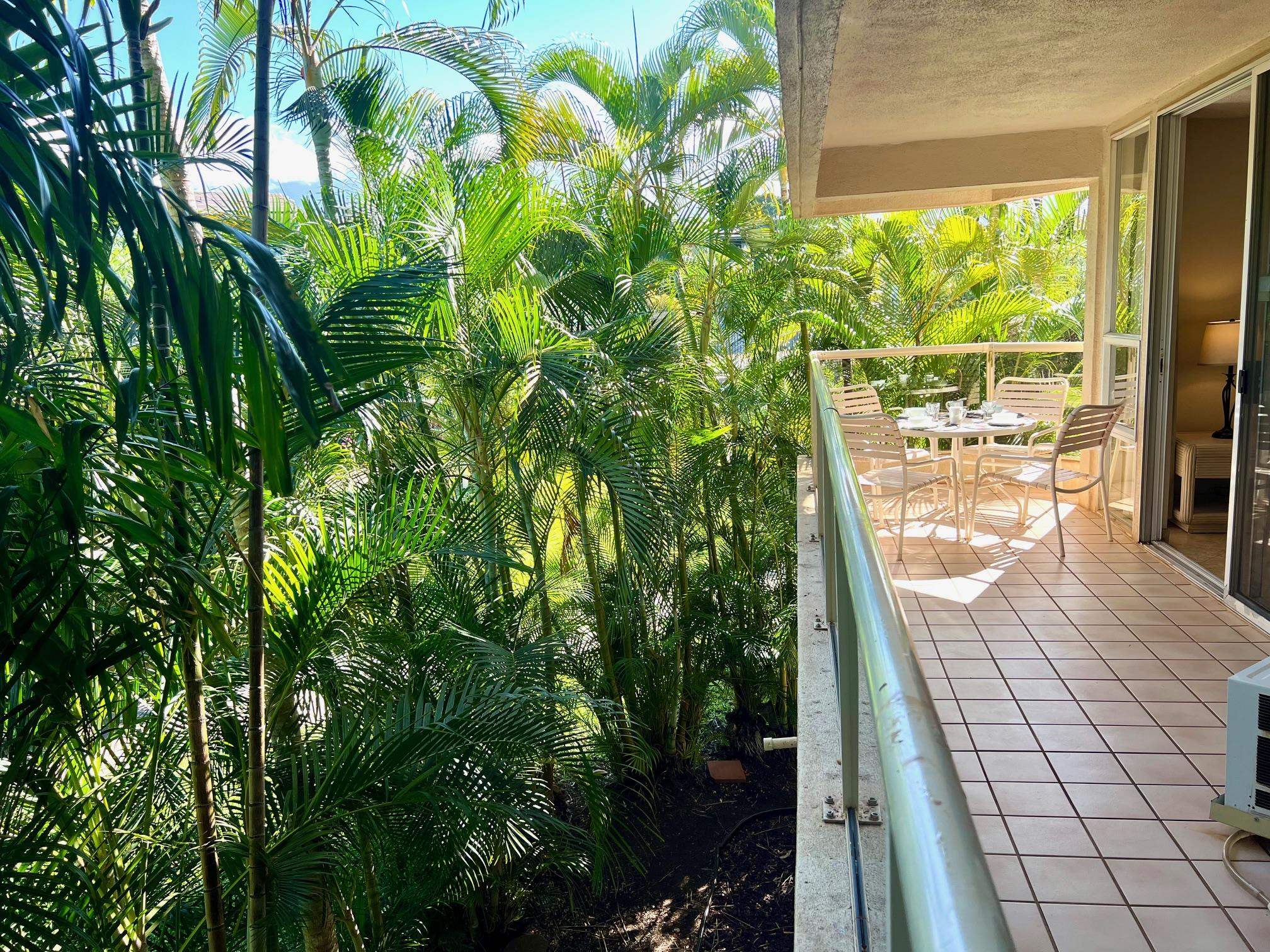 2575 S Kihei Rd Property Photo 25