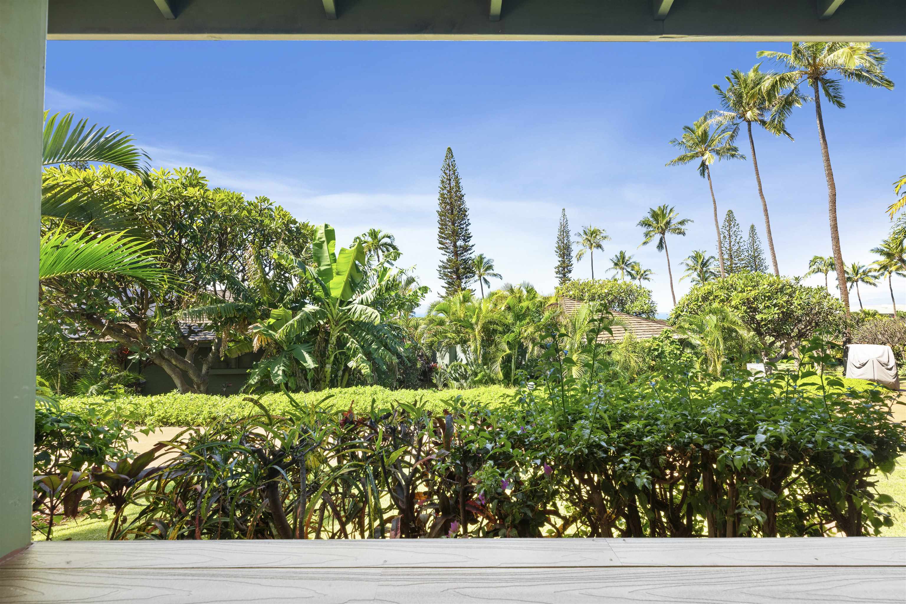 2750 Kalapu Dr Property Photo 36