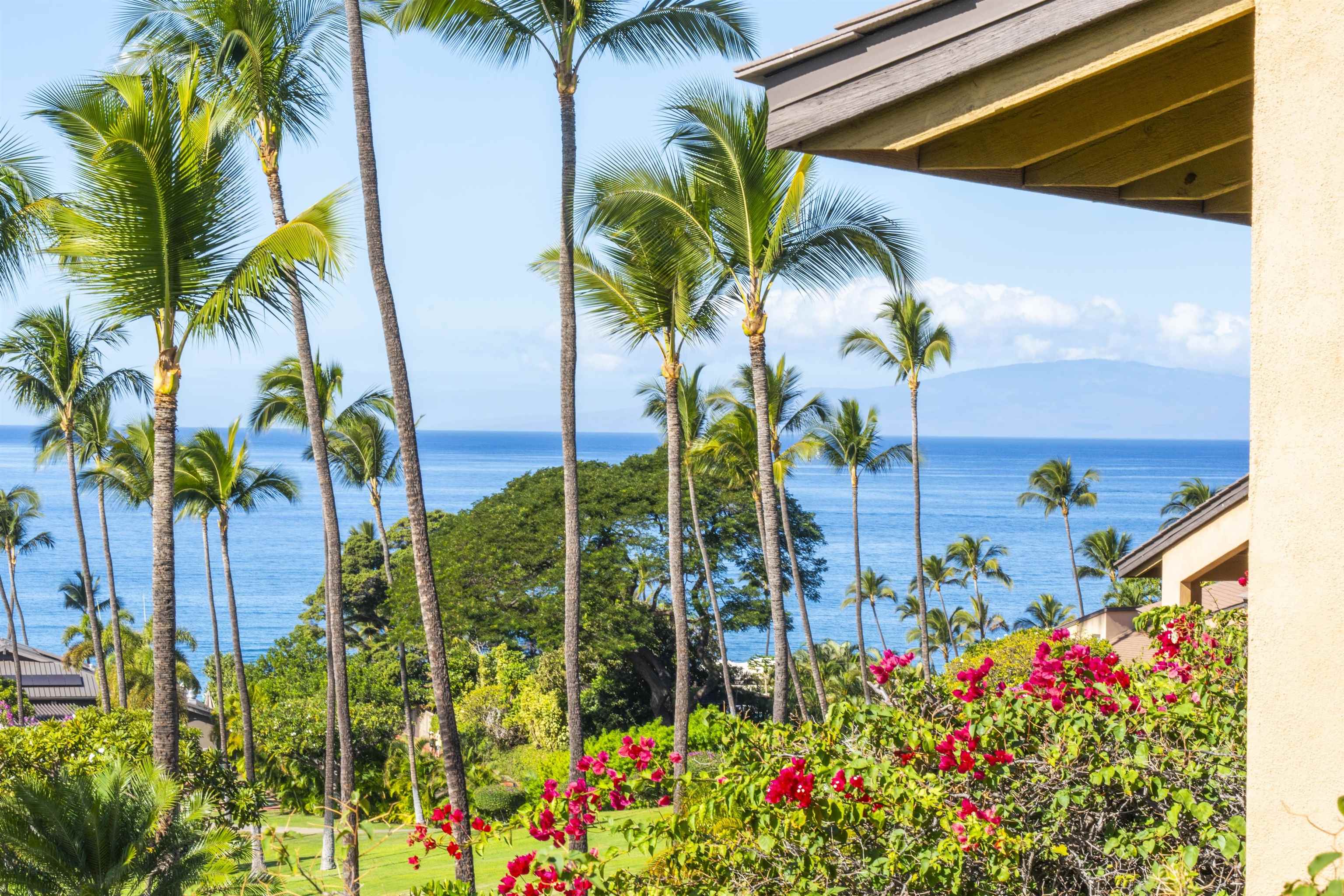 3300 Wailea Alanui Dr Property Photo 29