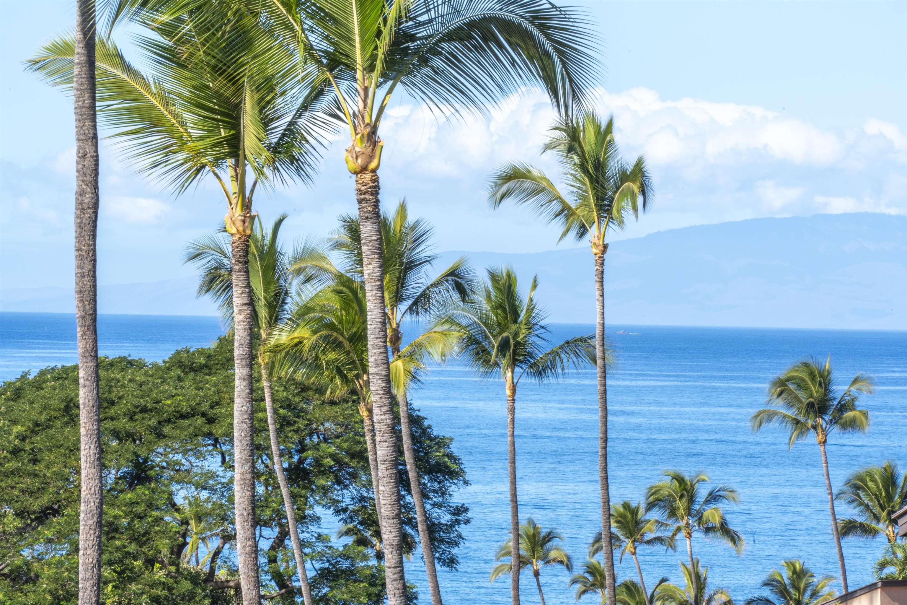 3300 Wailea Alanui Dr Property Photo 30
