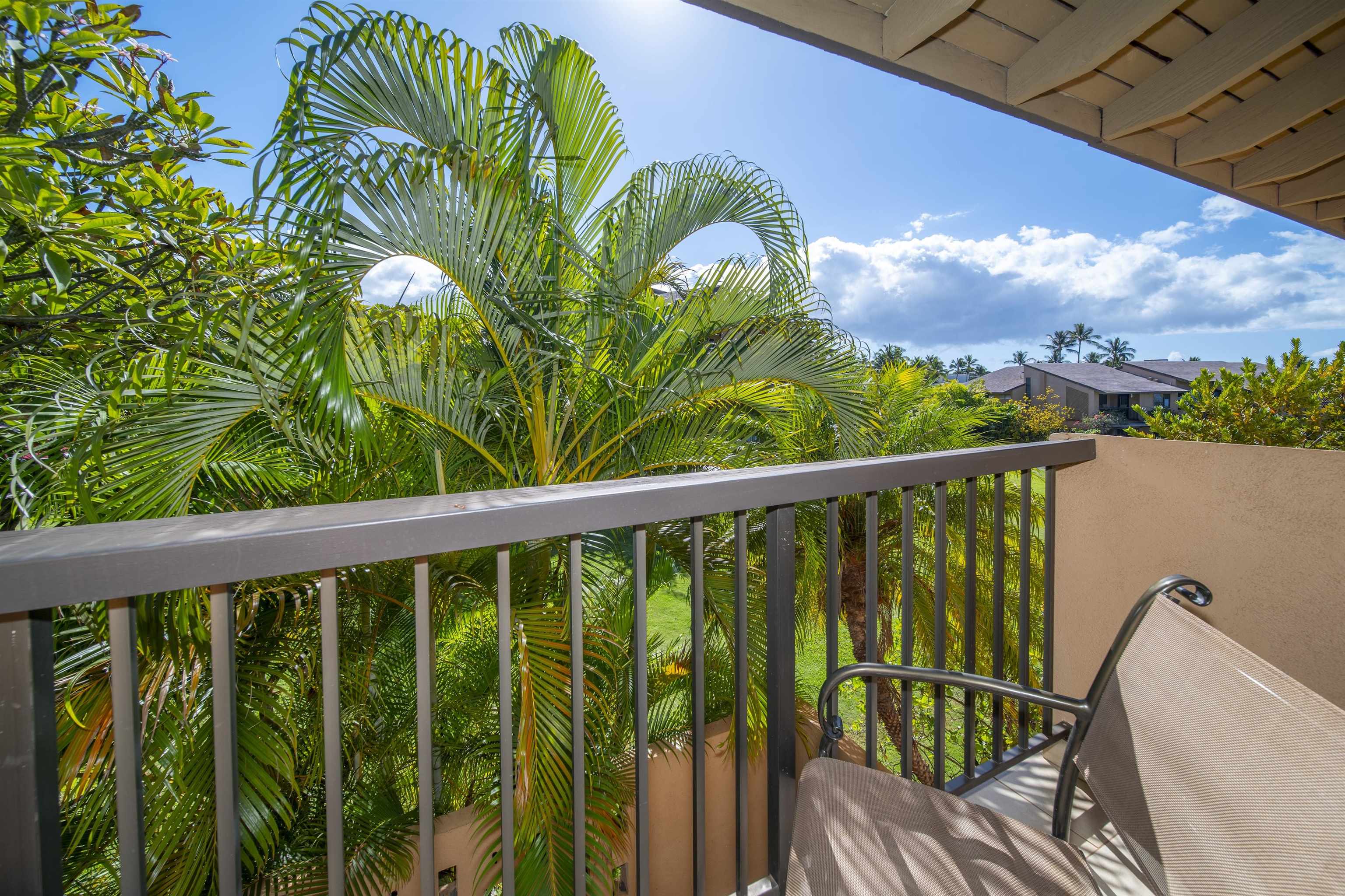 3300 Wailea Alanui Dr Property Photo 35