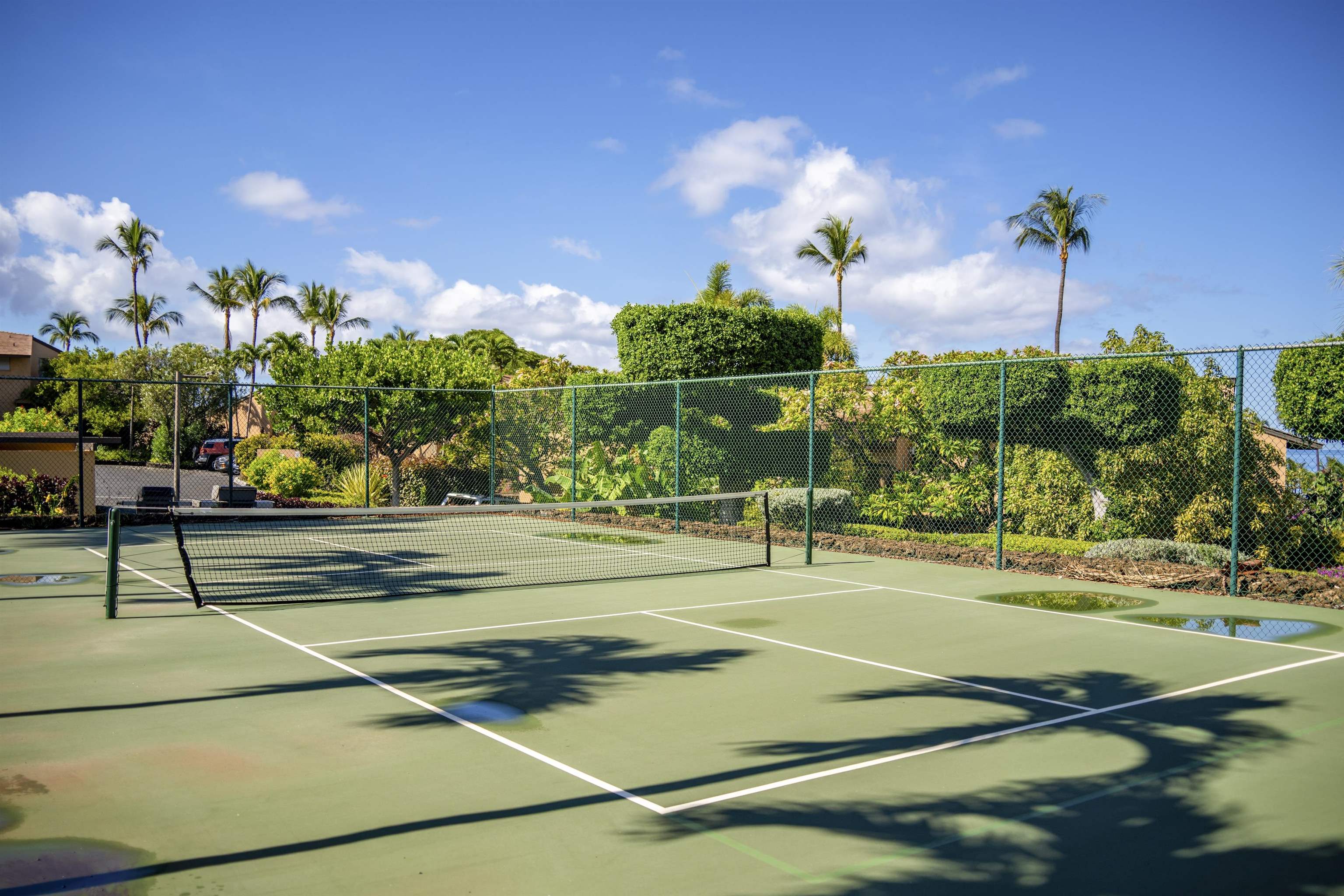 3300 Wailea Alanui Dr Property Photo 42