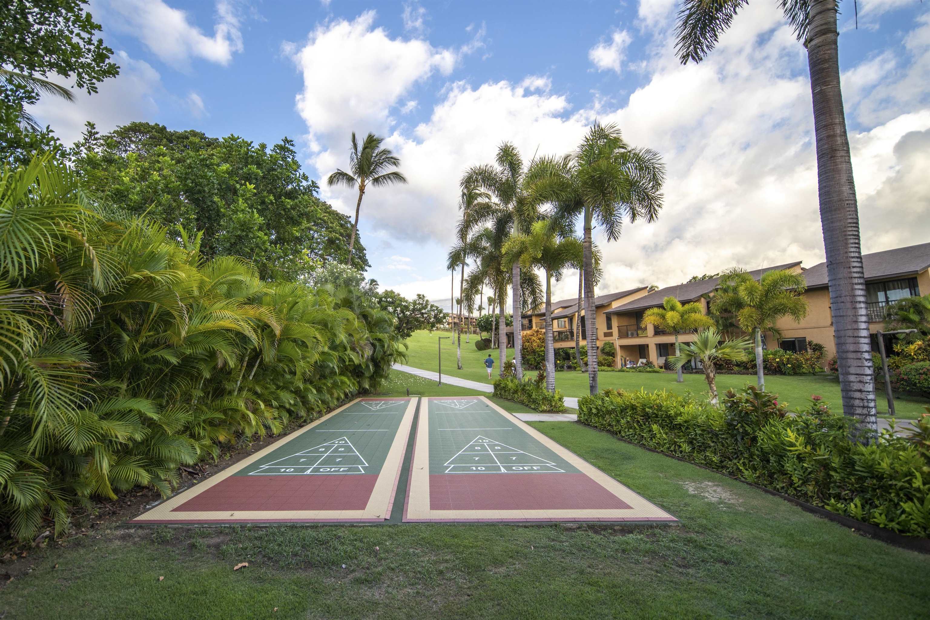 3300 Wailea Alanui Dr Property Photo 43