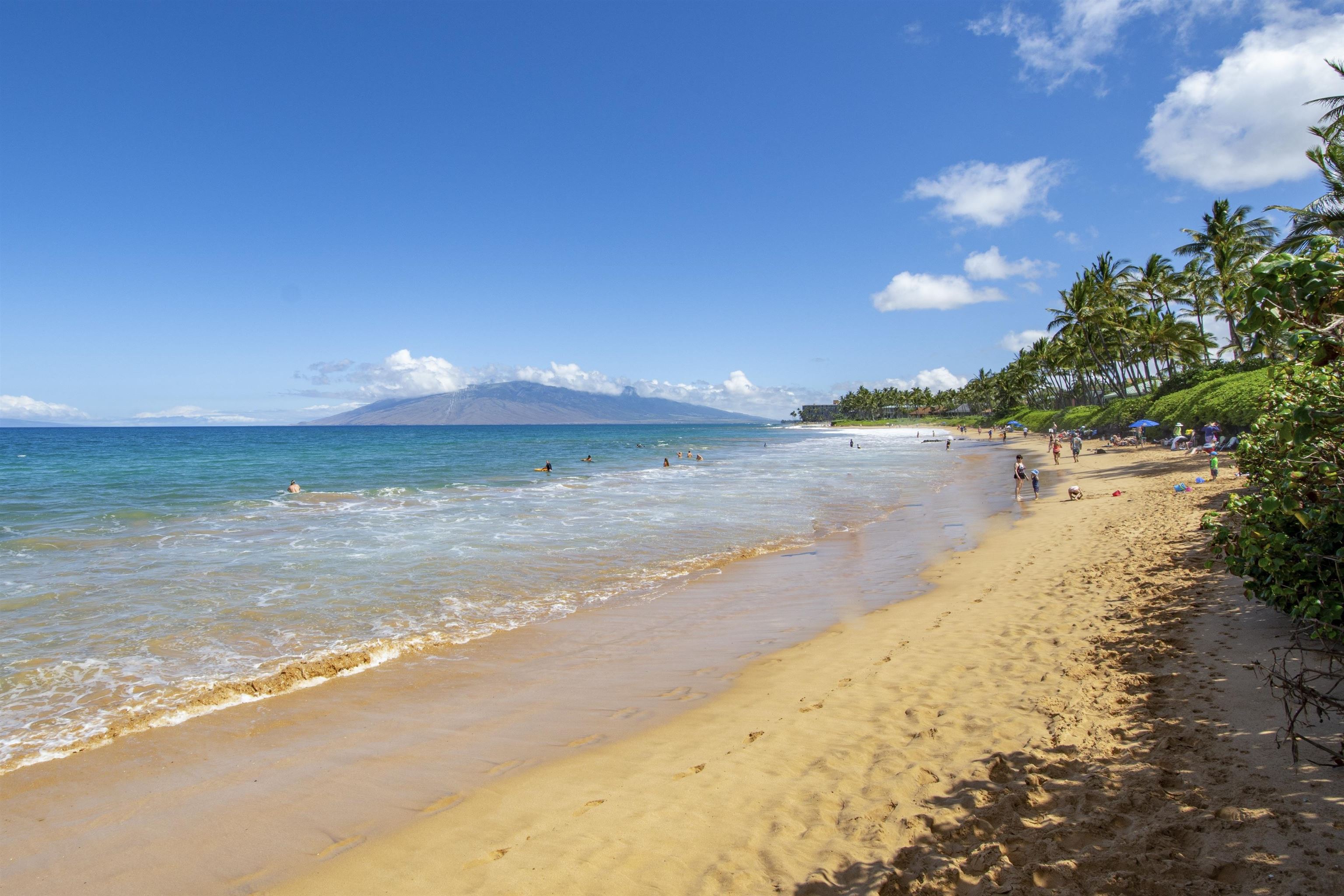 3300 Wailea Alanui Dr Property Photo 46